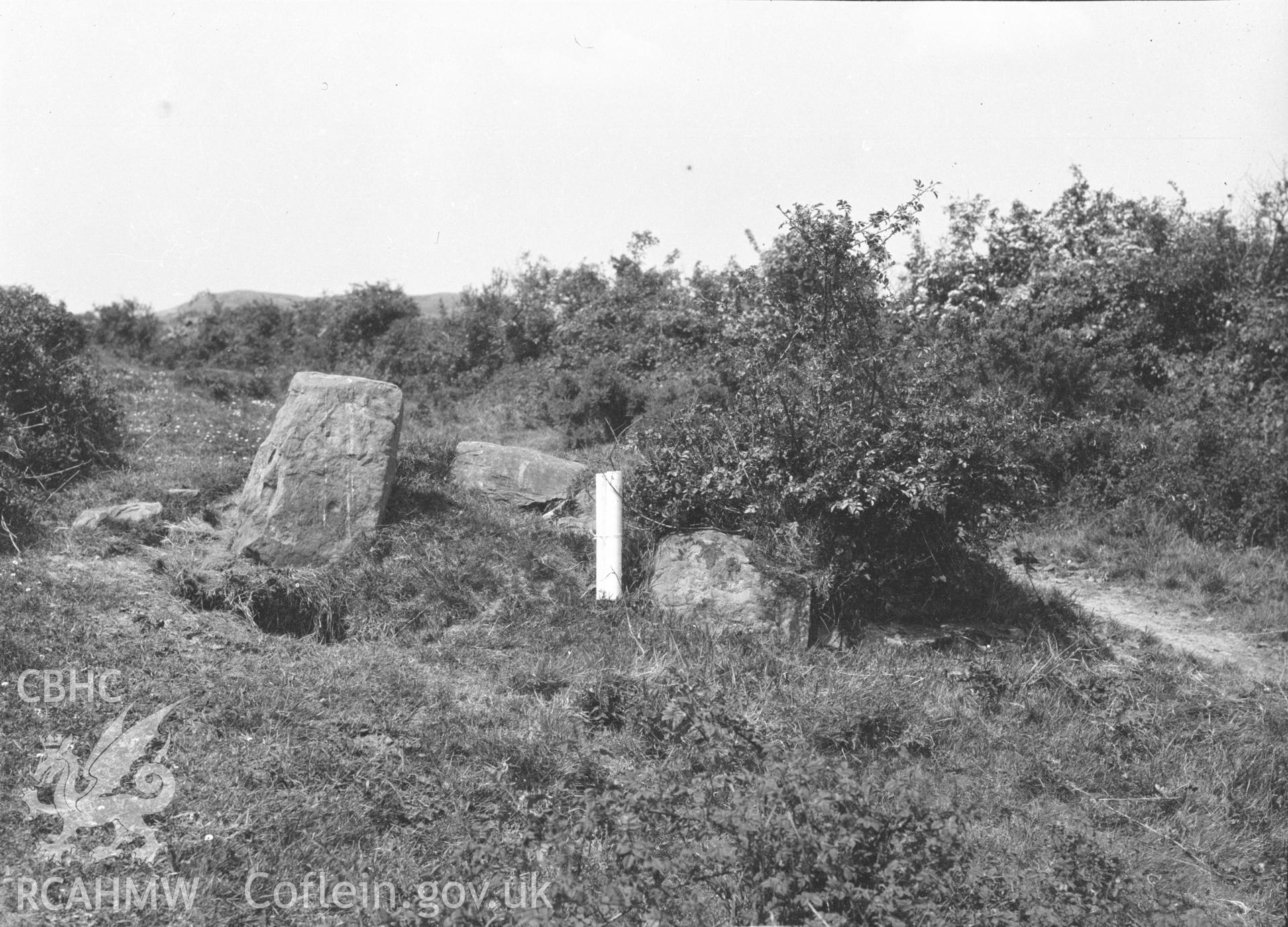 Digital copy of a nitrate negative showing Tai Marian Cist.