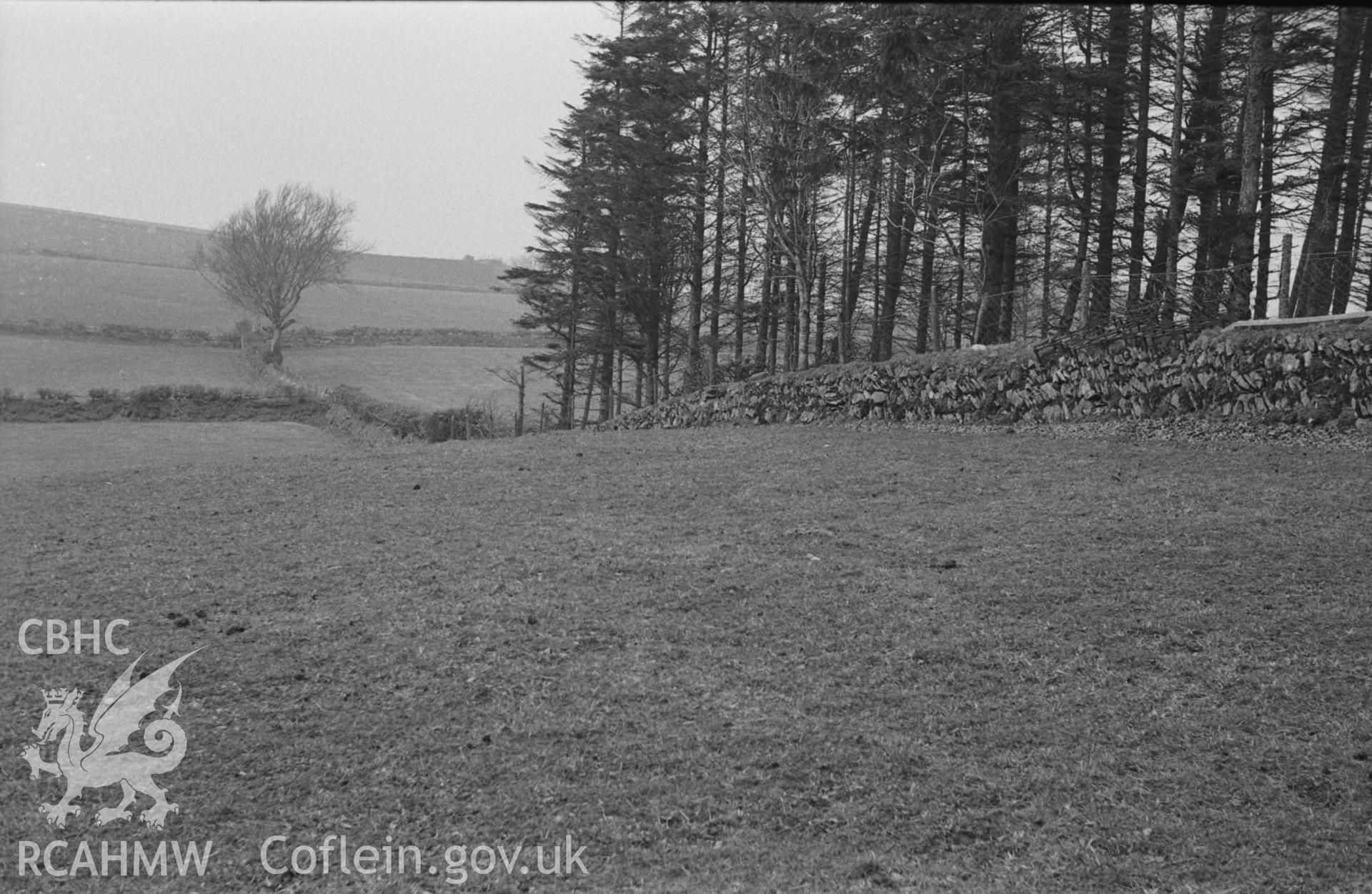 Digital copy of black & white negative showing view from 100m north west of Esgair-Goch farm (SN 6260 4625, looking north north west). Carreg Hirfaen hidden by tree on left, in direct line with wall bank on right. Photograph by Arthur Chater, April 1963.