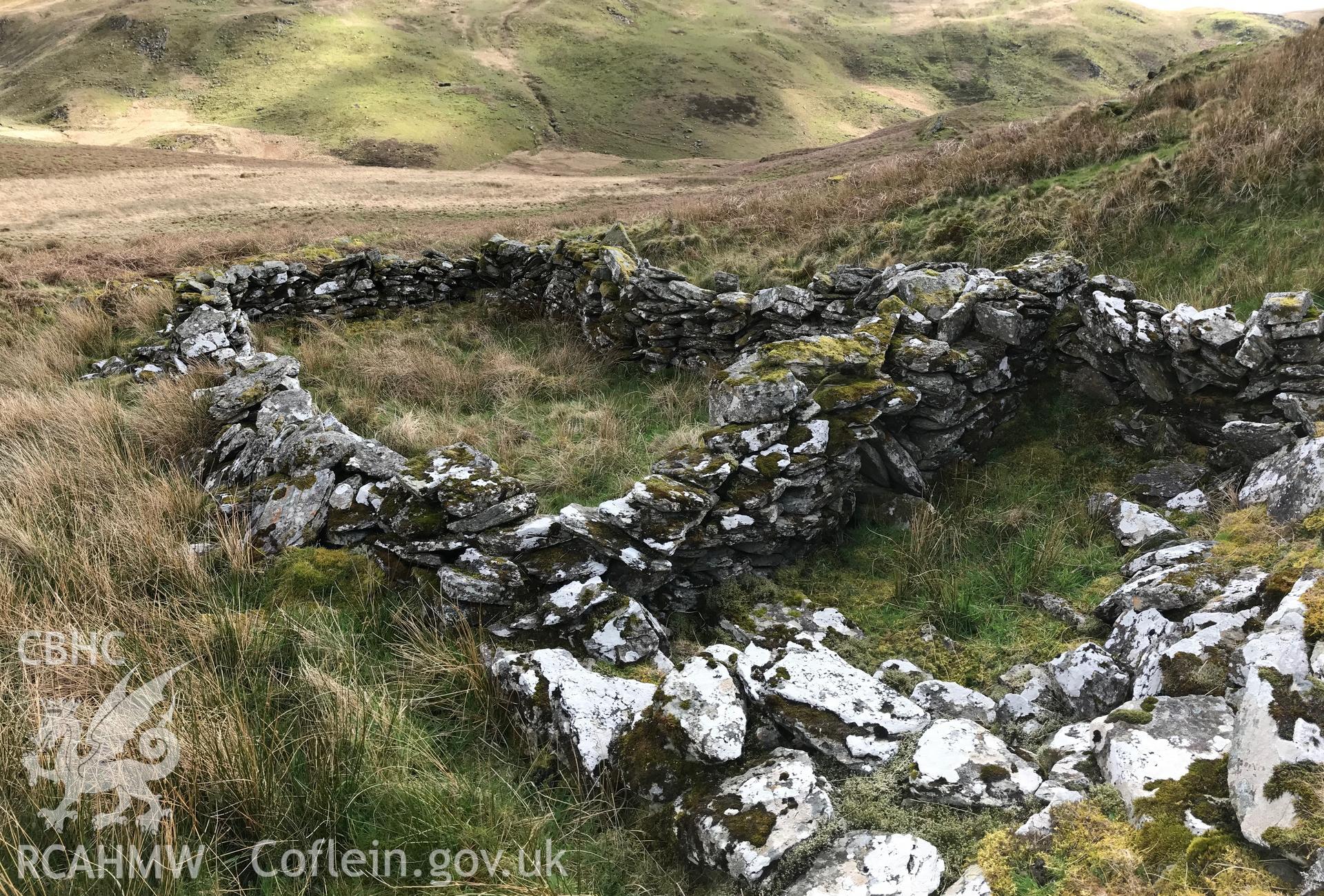 Colour photograph of Hafod Frith Hafod and Sheepfold, east of Pontrhydfendigaid, taken by Paul R. Davis on 24th March 2019.