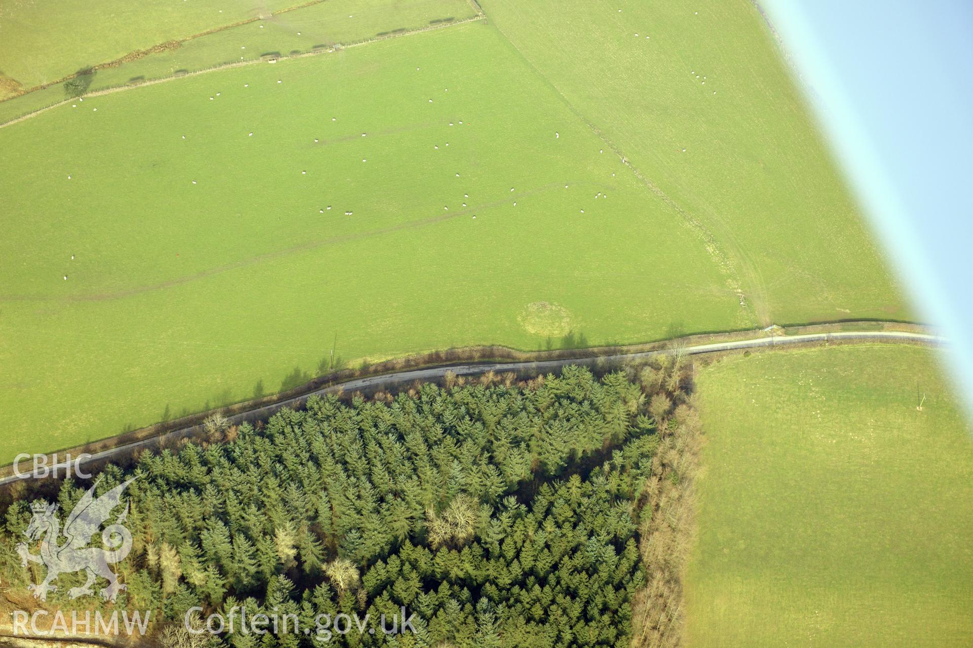 Plas Yw barrow, north west of Mold. Oblique aerial photograph taken during the Royal Commission?s programme of archaeological aerial reconnaissance by Toby Driver on 28th February 2013.