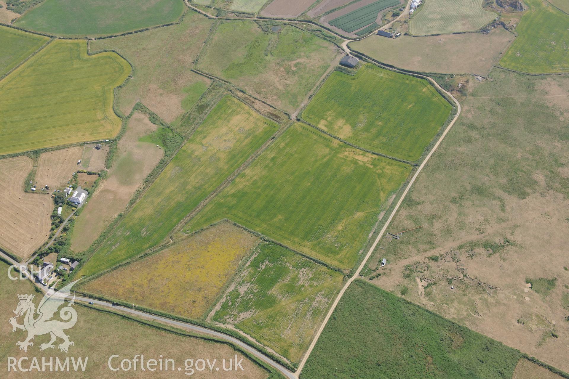 Parchmarks of possible township at Croes Phillip, St Davids. Oblique aerial photograph taken during the Royal Commission?s programme of archaeological aerial reconnaissance by Toby Driver on 16th July 2013.