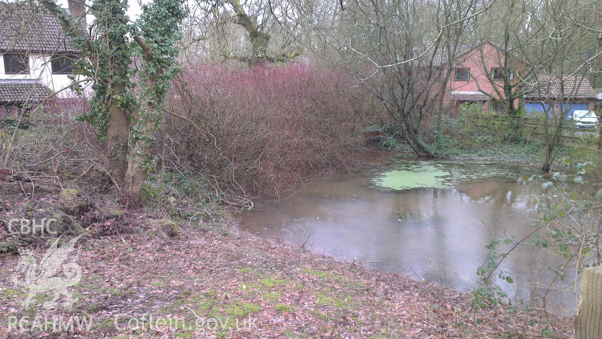 Digital colour photograph of the Castle Oak Pond, near Pwllmelyn battlefield. Photographed during Phase Three of the Welsh Battlefield Metal Detector Survey, carried out by Archaeology Wales, 2012-2014. Project code: 2041 - WBS/12/SUR.