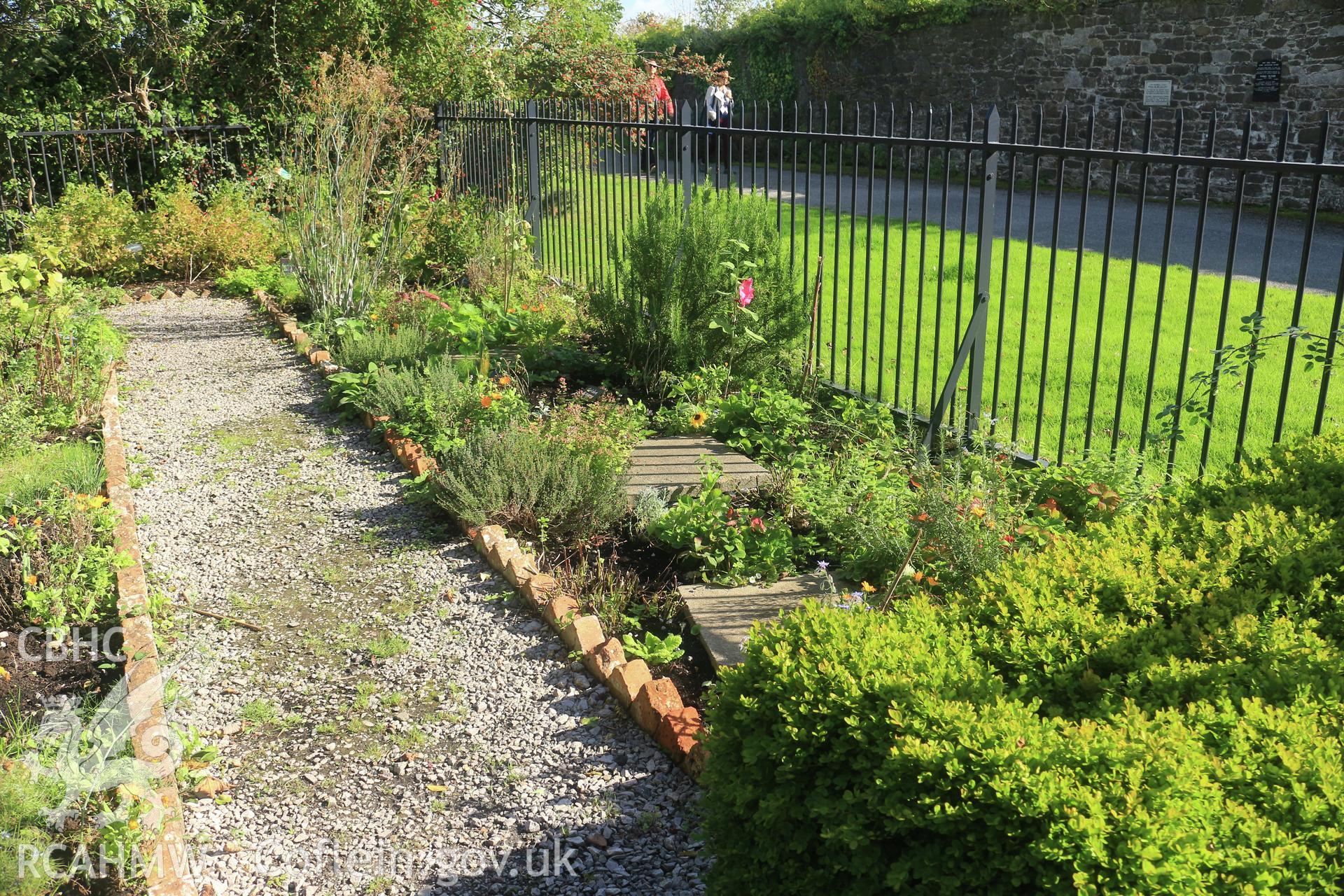 Investigator photographs of Conwy Suspension Bridge Keepers cottage. Exterior: vegetable garden.