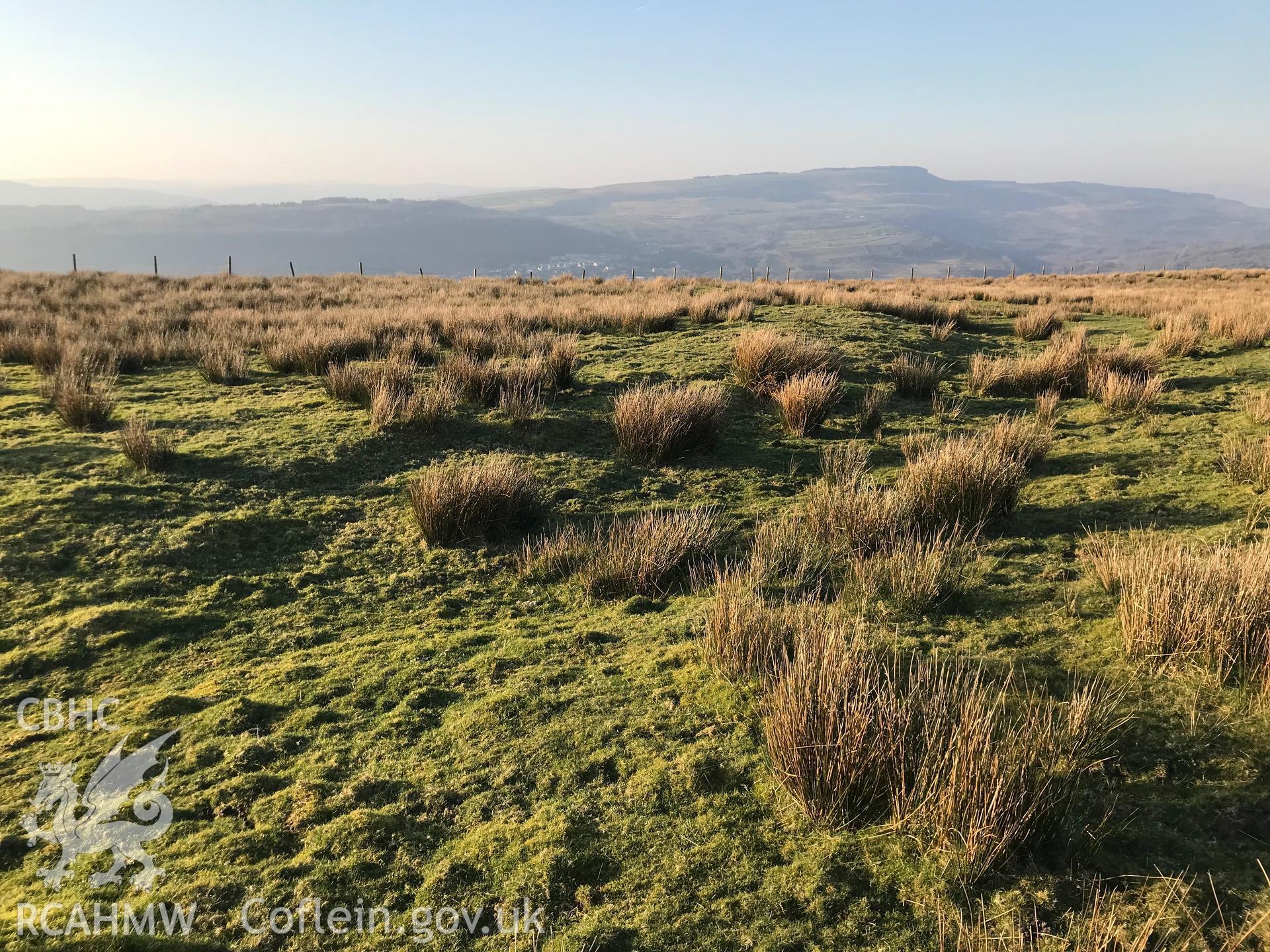 Colour photograph of Cefn Morfudd defended enclosure, Tonna, east of Neath, taken by Paul R. Davis on 27th February 2019.