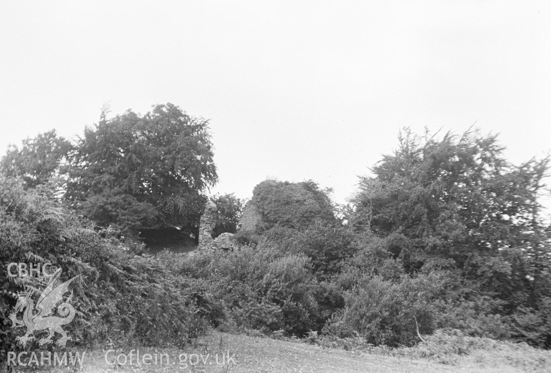 Digital copy of a nitrate negative showing Cas Troggy Castle.