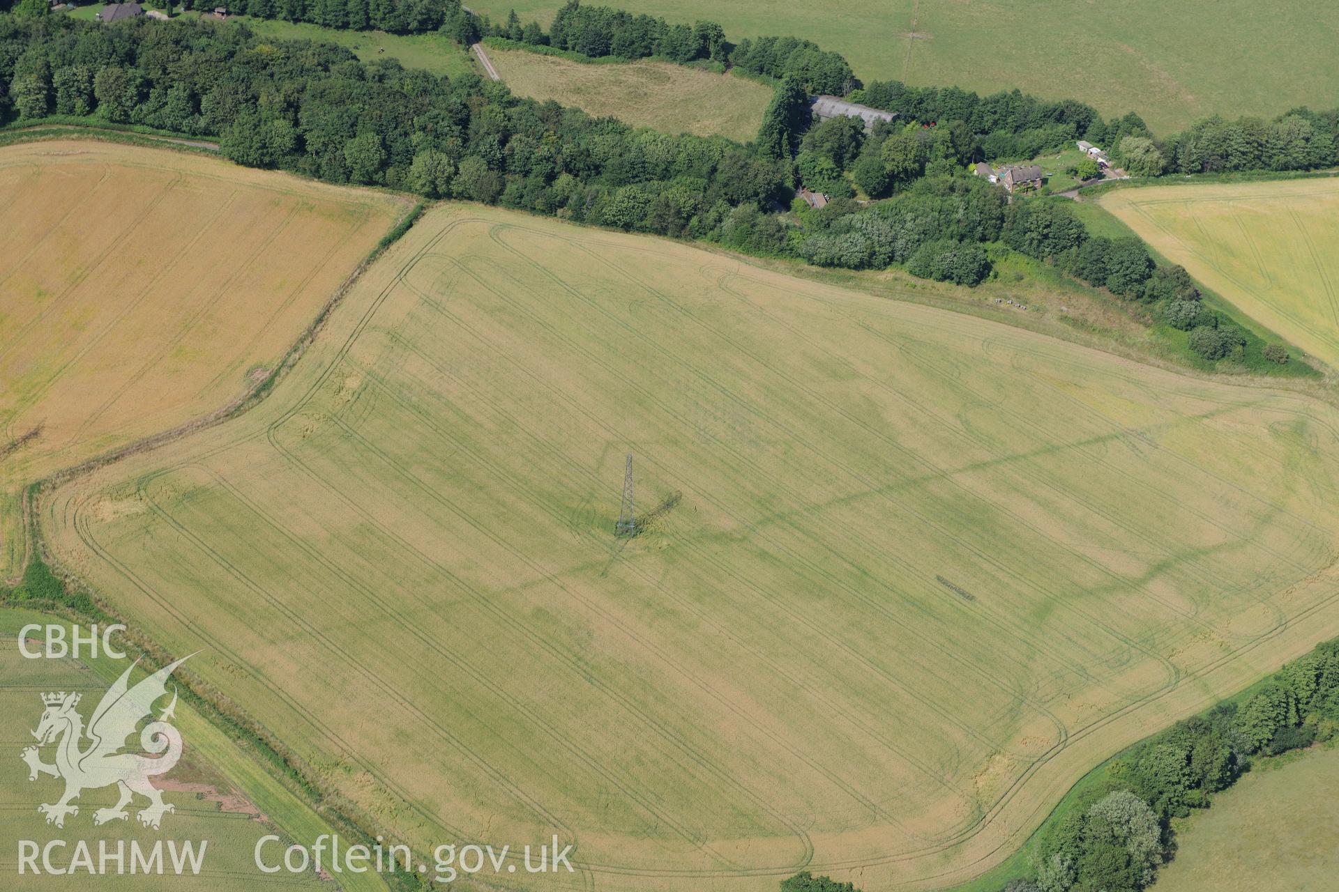 Malthouse Road defended enclosure and Graig-yr-Eurych castle mound (covered by woodland), between Caerleon and Cwmbran. Oblique aerial photograph taken during the Royal Commission?s programme of archaeological aerial reconnaissance by Toby Driver on 1st August 2013.