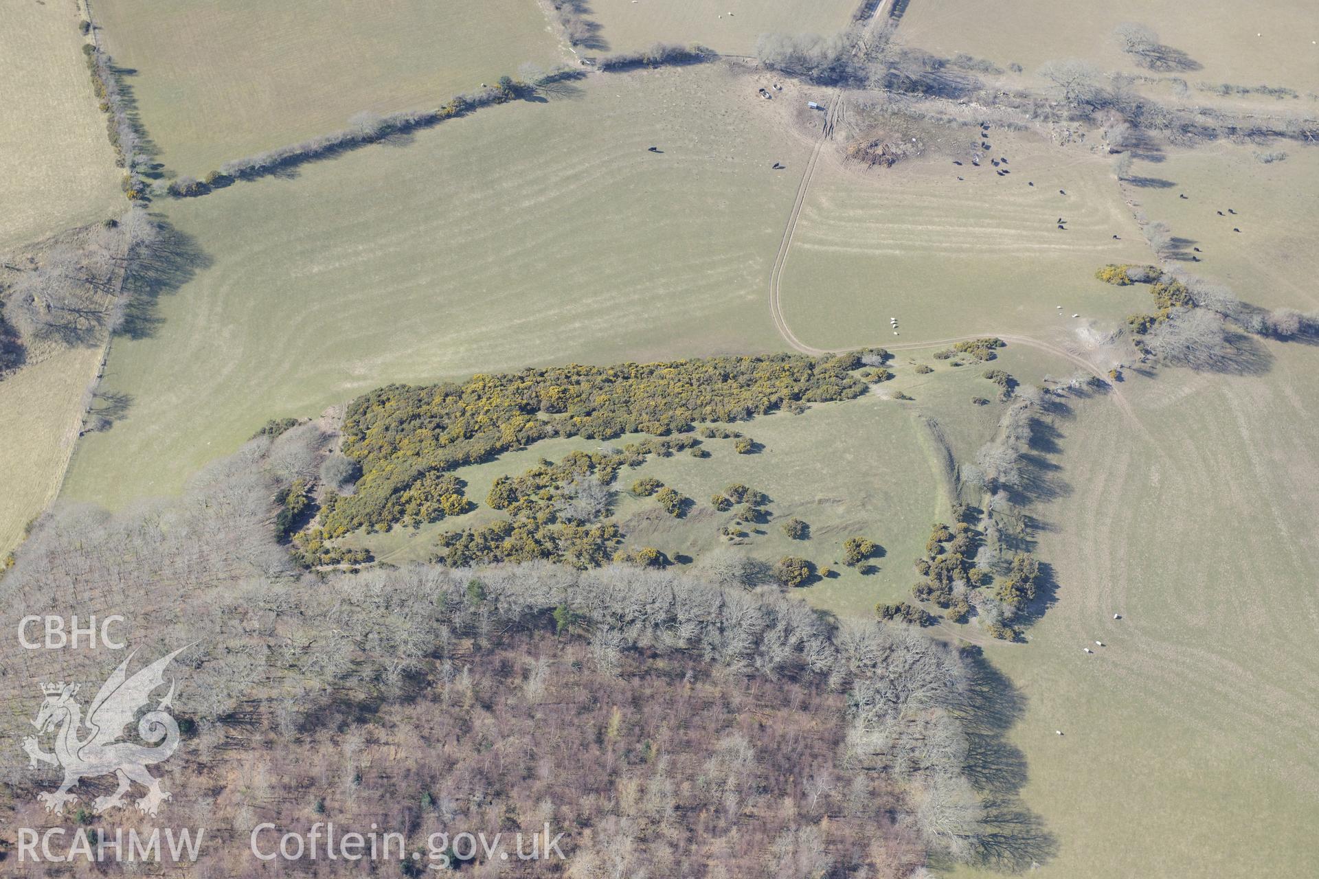 Caer Allt-Goch hillfort, south west of Talybont, Aberystwyth. Oblique aerial photograph taken during the Royal Commission's programme of archaeological aerial reconnaissance by Toby Driver on 2nd April 2013.