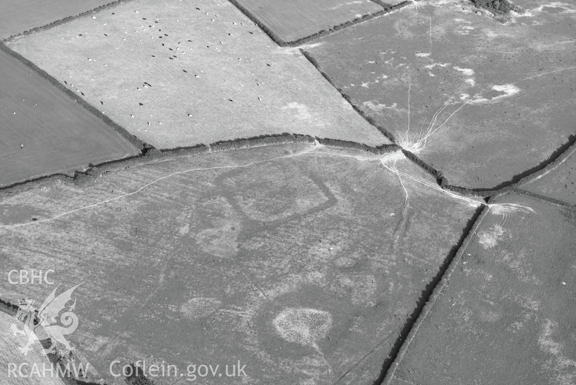 Royal Commission aerial photography of earthworks southwest of Llanddewi Church, with parching, taken on 17th July 2018 during the 2018 drought.