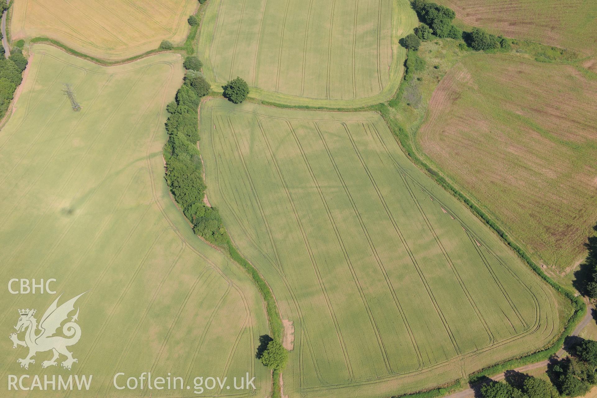 Cropmark showing the Malthouse Road defended enclosure, near Caerleon, north of Newport. Oblique aerial photograph taken during the Royal Commission?s programme of archaeological aerial reconnaissance by Toby Driver on 1st August 2013.