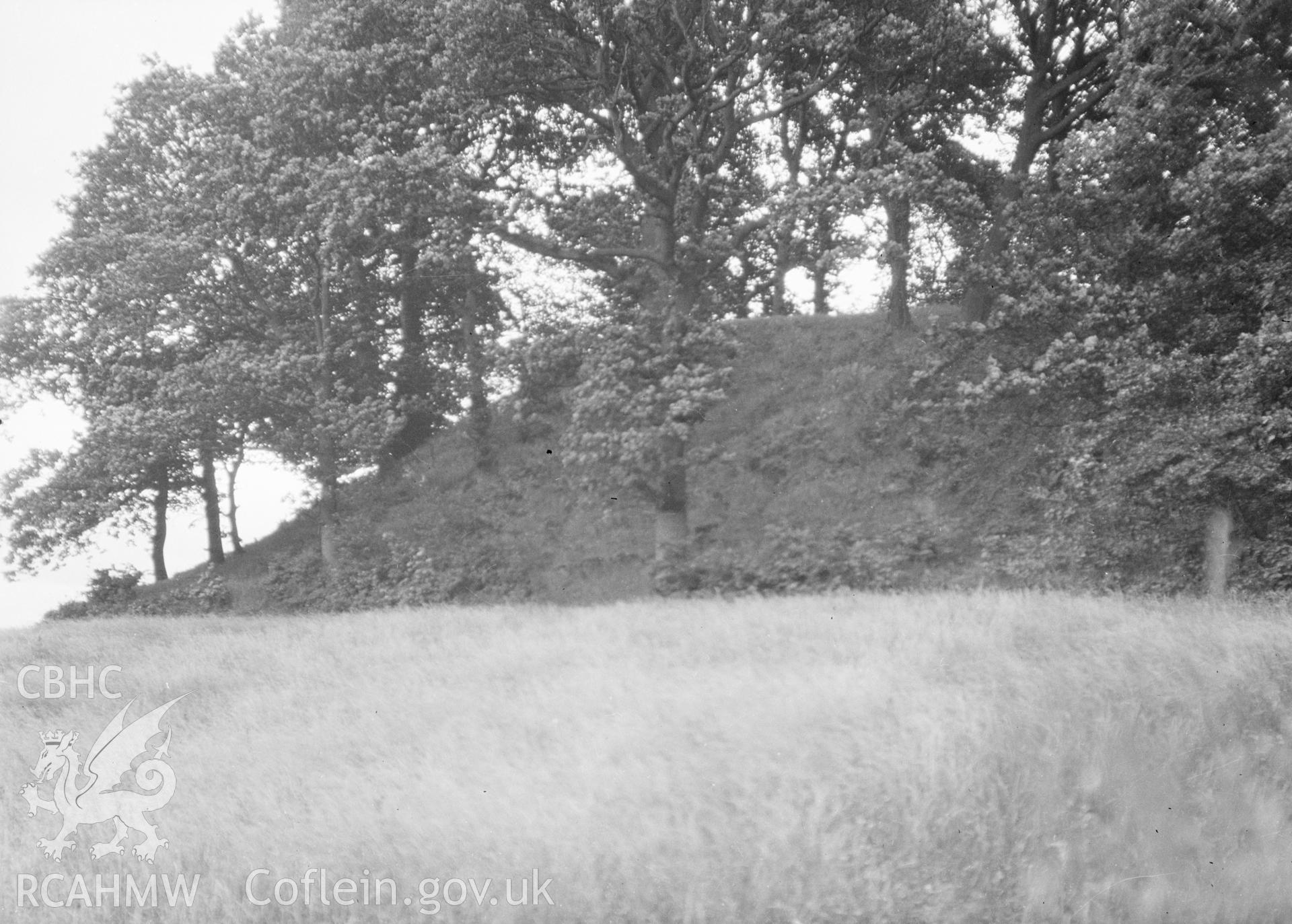 Digital copy of black and white negative relating to Bryn-y-Cwm Castle Mound.