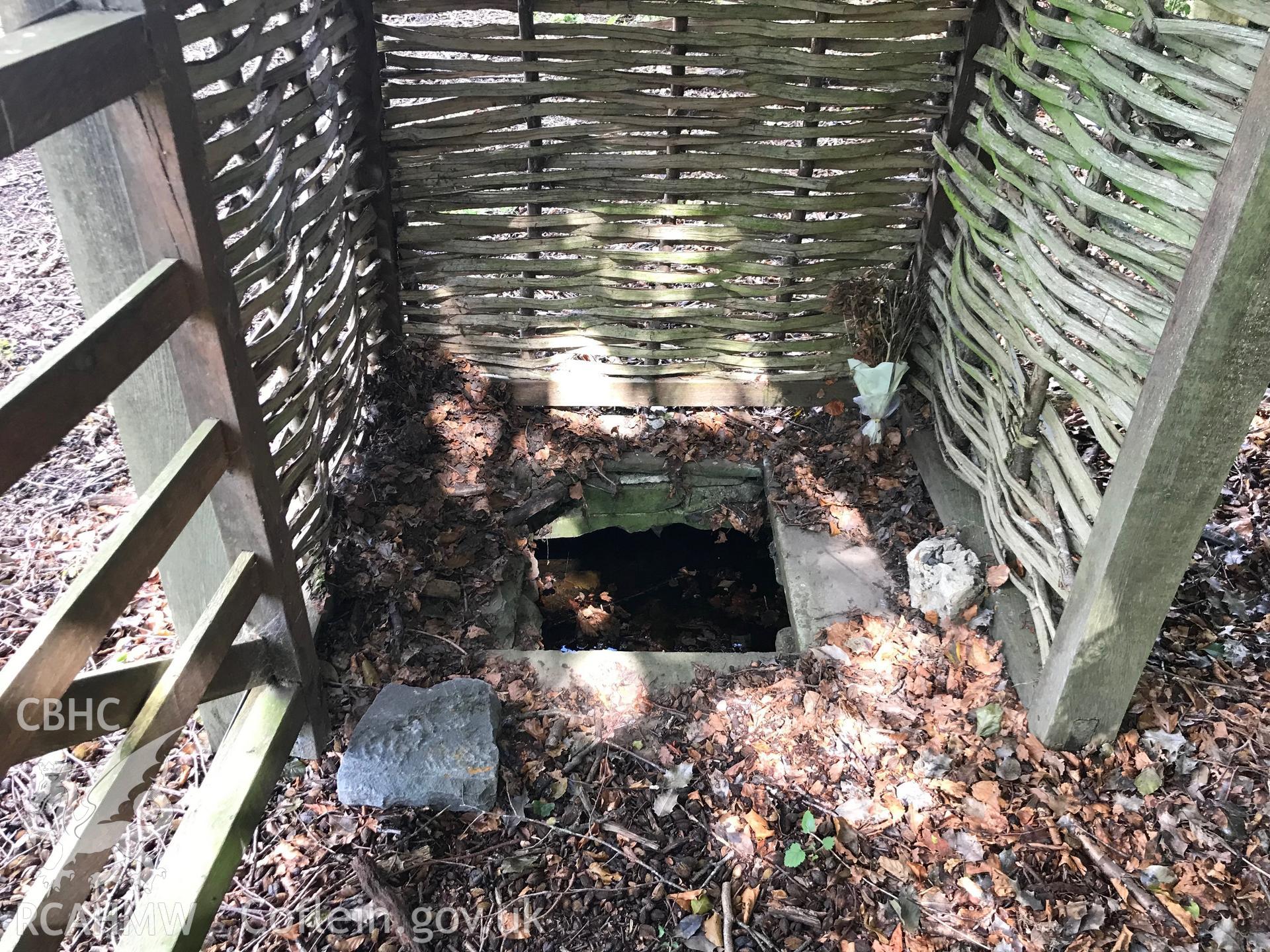 Digital colour photograph of Ffynnon Sant Sannan holy well, Bedwellty, taken by Paul R. Davis on 17th August 2019.