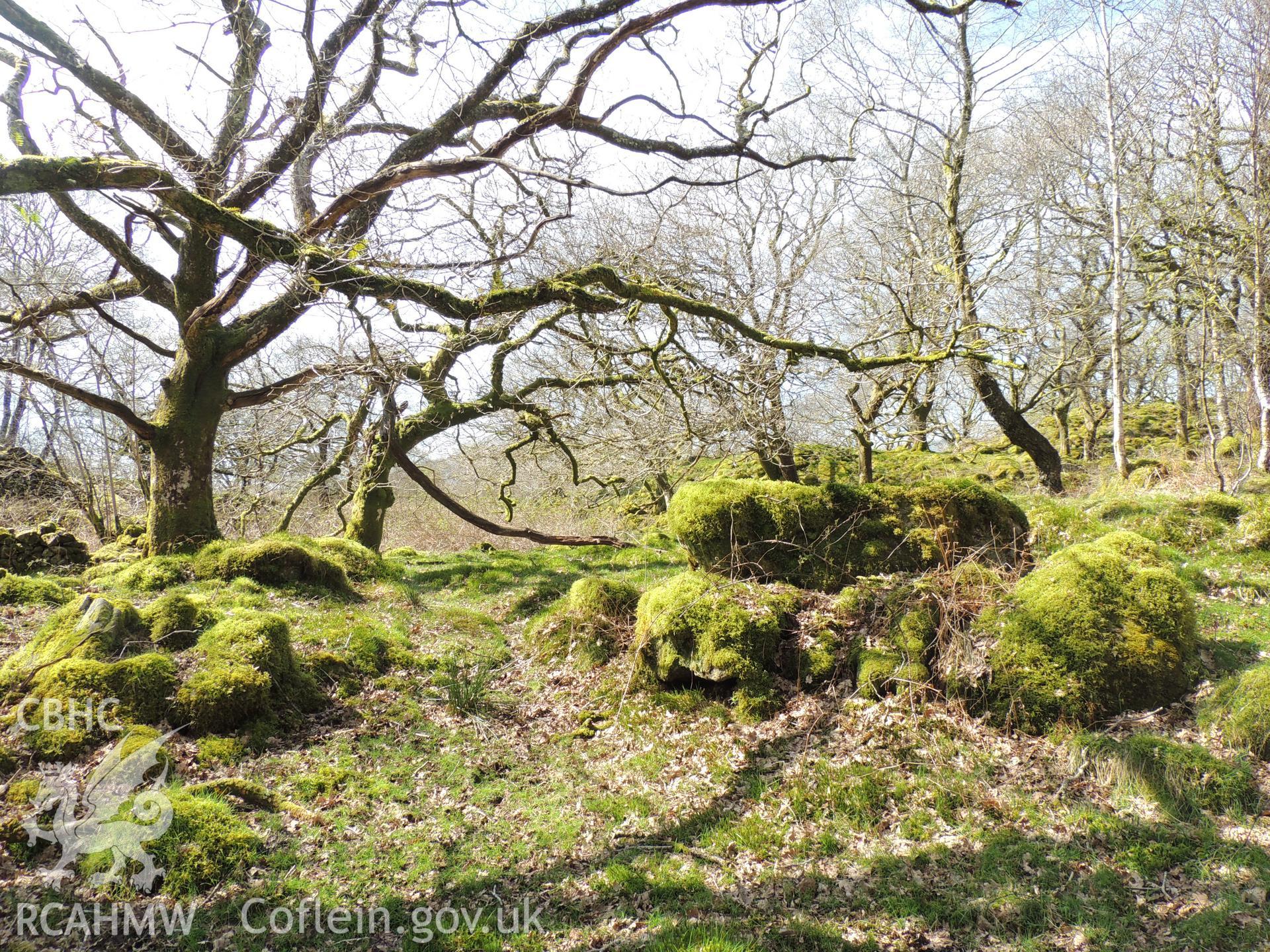 'Penstock route c. SH62294 43999.' Photographed as part of desk based assessment and heritage impact assessment of a hydro scheme on the Afon Croesor, Brondanw Estate, Gwynedd. Produced by Archaeology Wales for Renewables First Ltd. 2018.