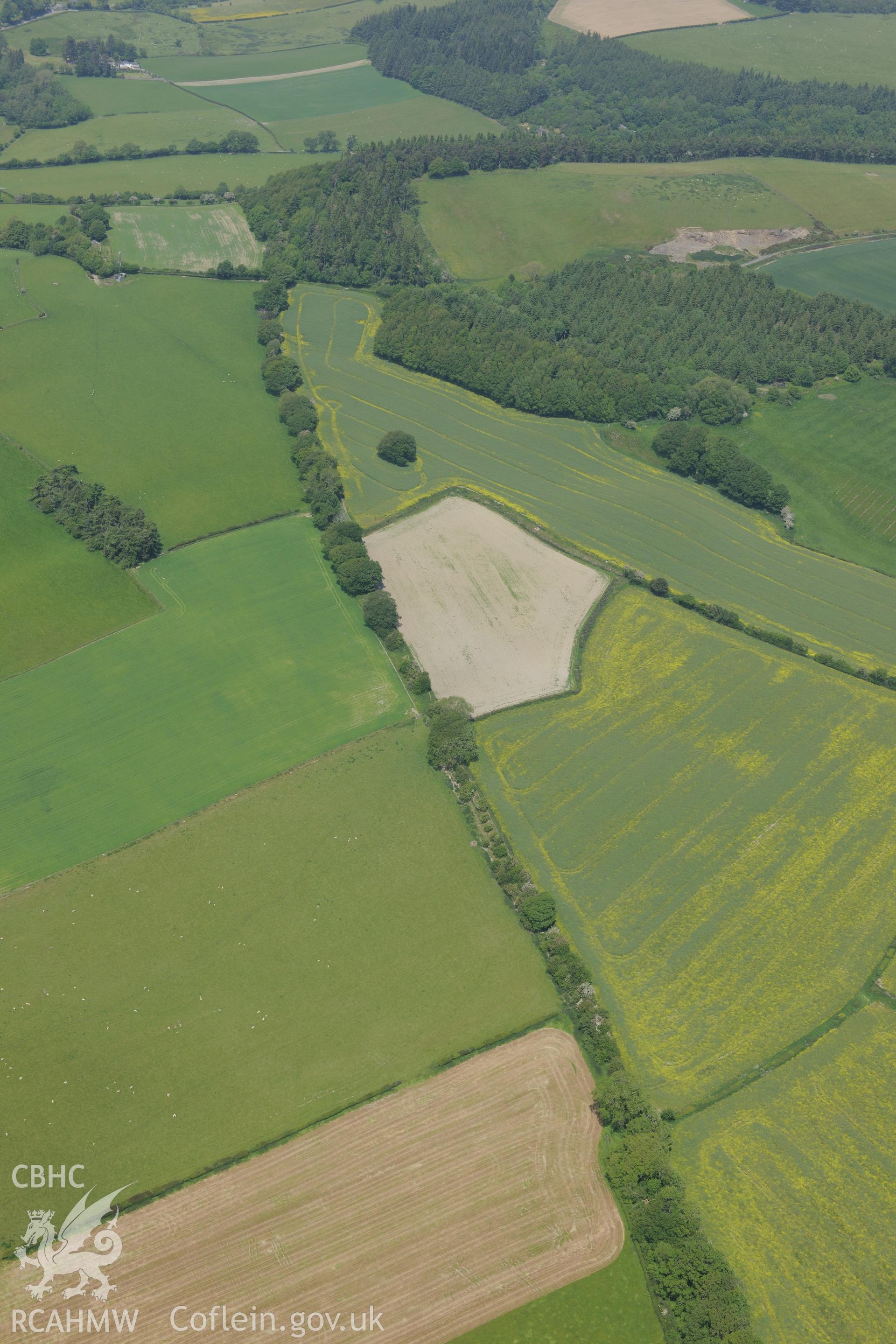 Section of Offa's Dyke near Prestigne. Oblique aerial photograph taken during the Royal Commission's programme of archaeological aerial reconnaissance by Toby Driver on 11th June 2015.