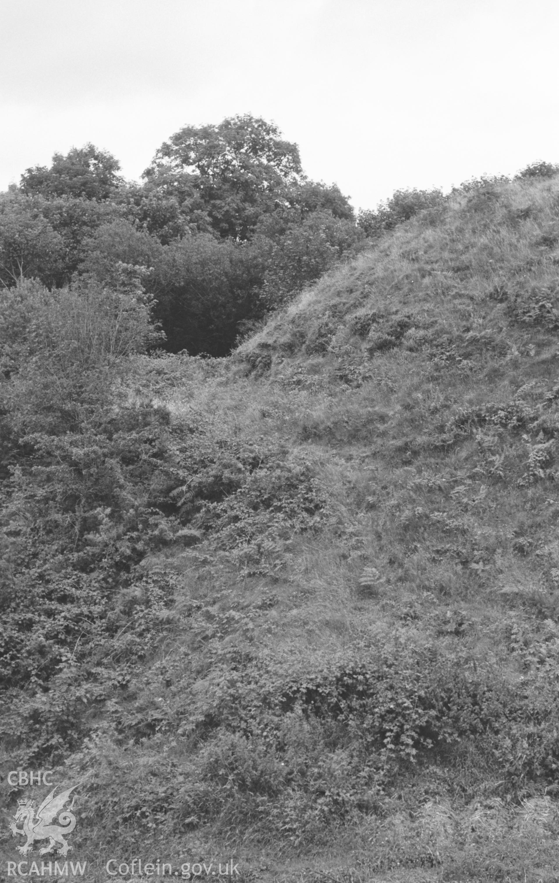 Digital copy of a black and white negative showing the north side of Blaenporth Castle Norman motte. Photographed in August 1963 by Arthur O. Chater from Grid Reference SN 2662 4887, looking south east.