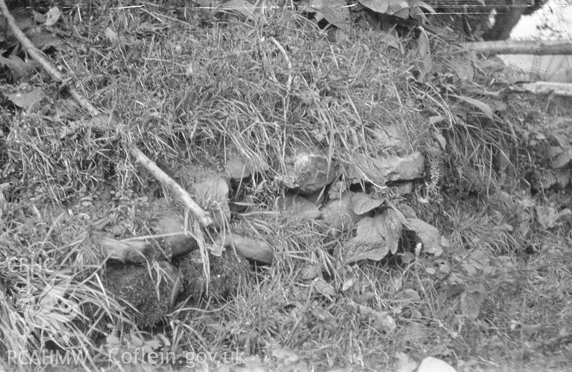 Digital copy of a nitrate negative showing Caer Noddfa, Carno. From the Cadw Monuments in Care Collection.