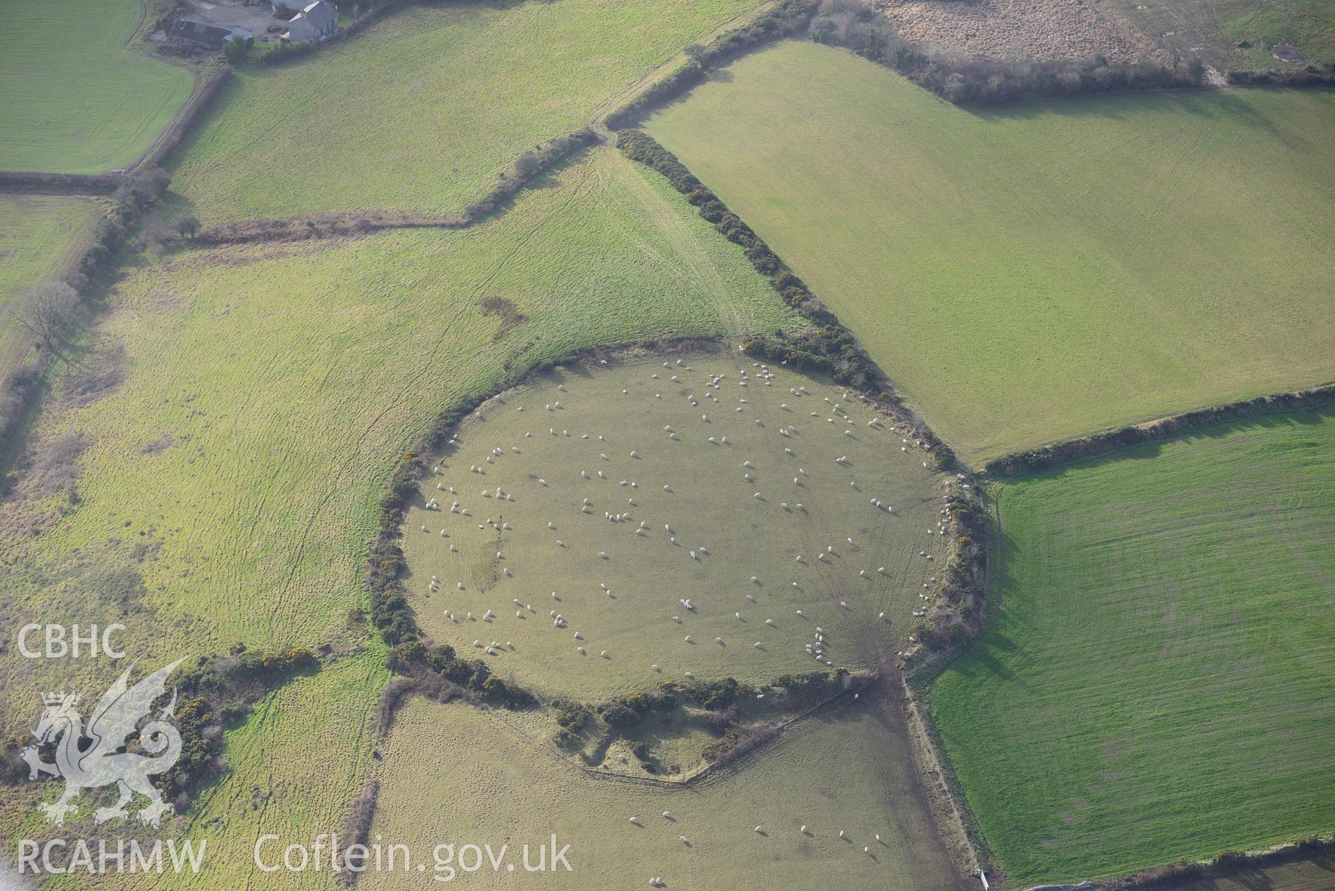 Cribyn Clottas Hillfort. Oblique aerial photograph taken during the Royal Commission's programme of archaeological aerial reconnaissance by Toby Driver on 6th January 2015.