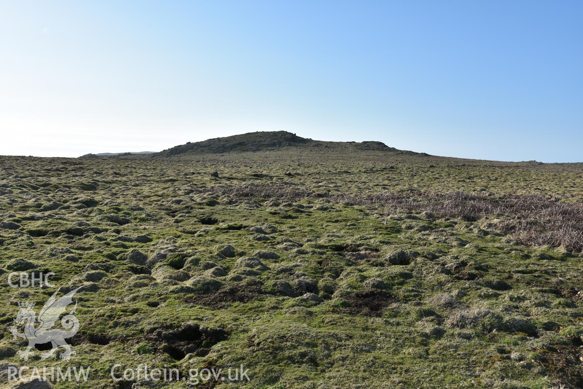 Low field boundaries of Late Bronze Age character within the Wick field system on Skomer Island. View of boundary at SM 7070 806. Photographed in April 2018.