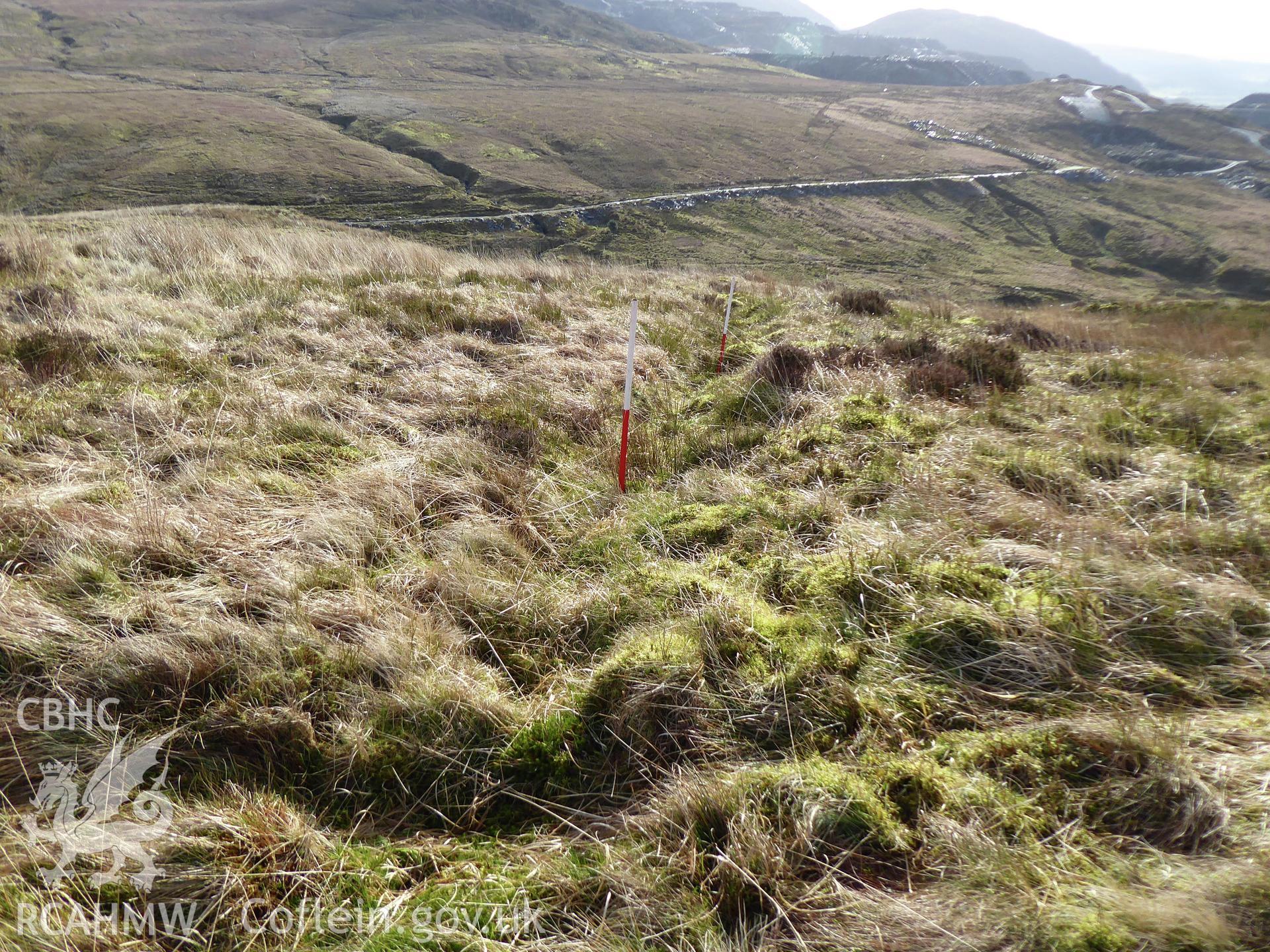 Cribau drain, photographed on 11th February 2019 as part of archaeological assessment of Antur Stiniog Downhill Cycle Tracks Extension, conducted by I. P. Brooks of Engineering Archaeological Services Ltd.