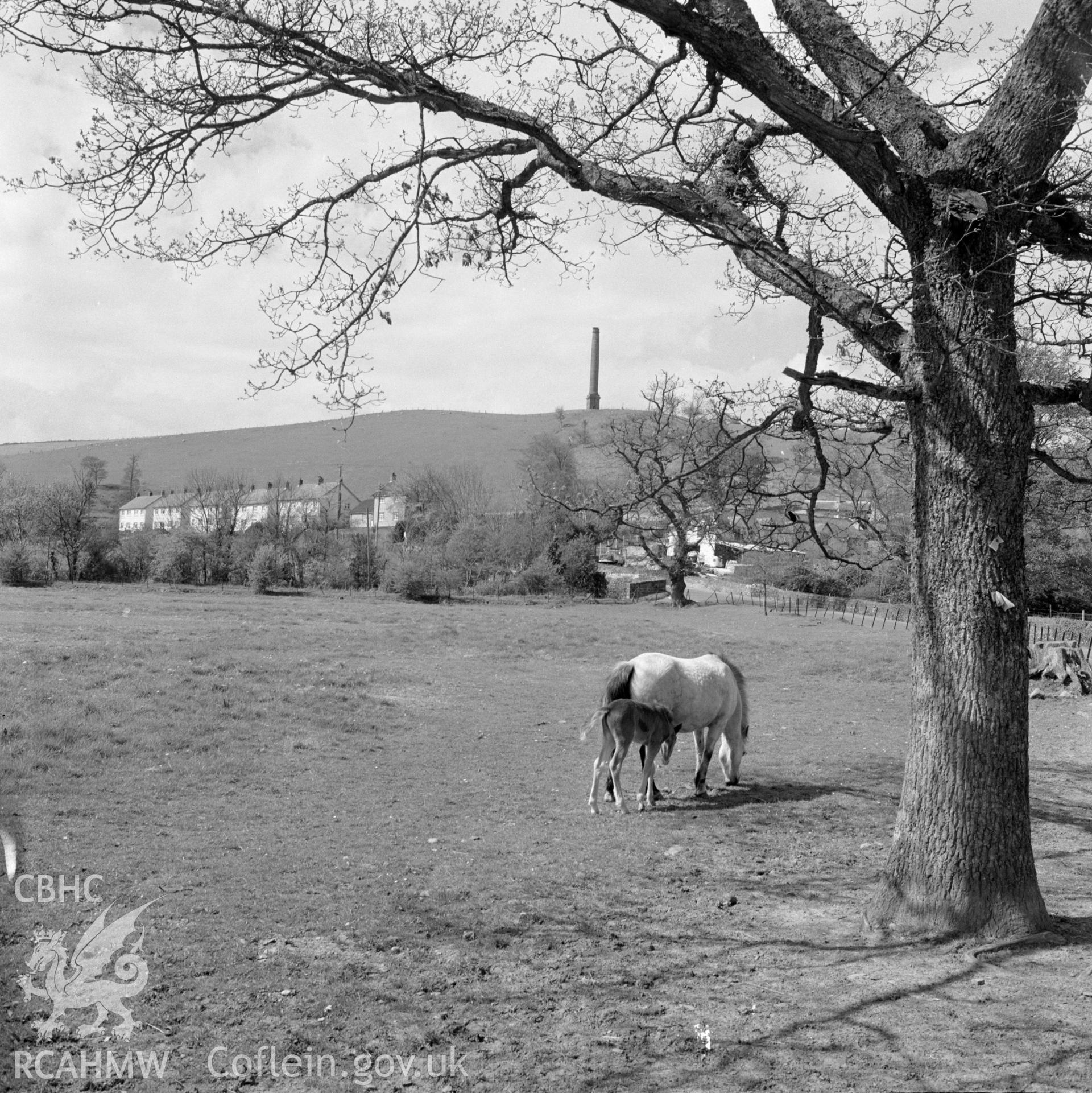 Digital copy of a black and white negative showing Derry Ormond Tower taken in 1971.