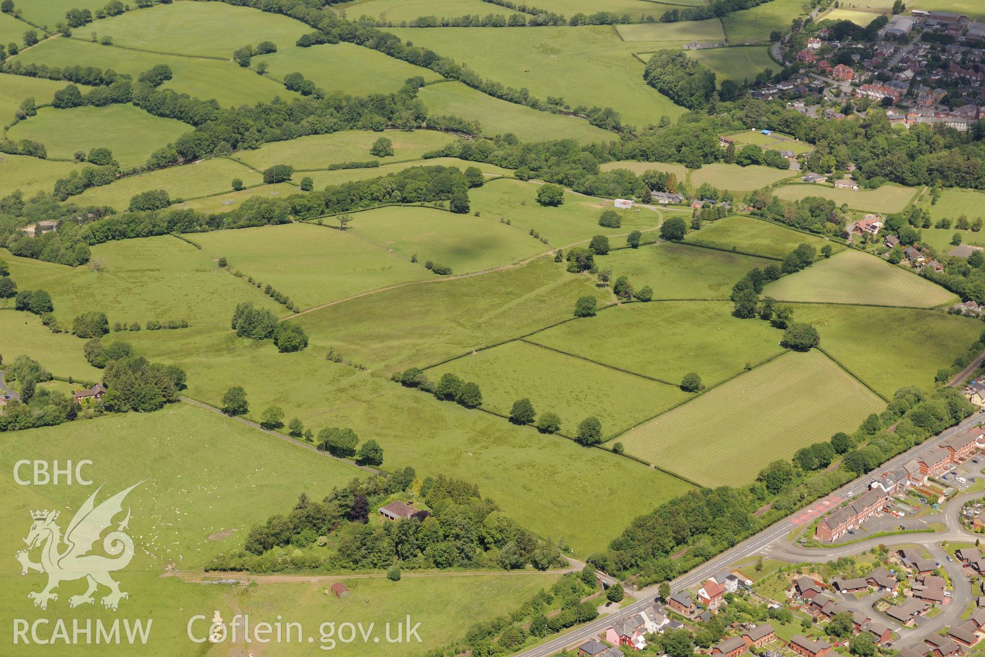 Llandrindod Common Roman Camps 9 to 14, and 20, south west of Llandrindod Wells. Oblique aerial photograph taken during the Royal Commission's programme of archaeological aerial reconnaissance by Toby Driver on 30th June 2015.