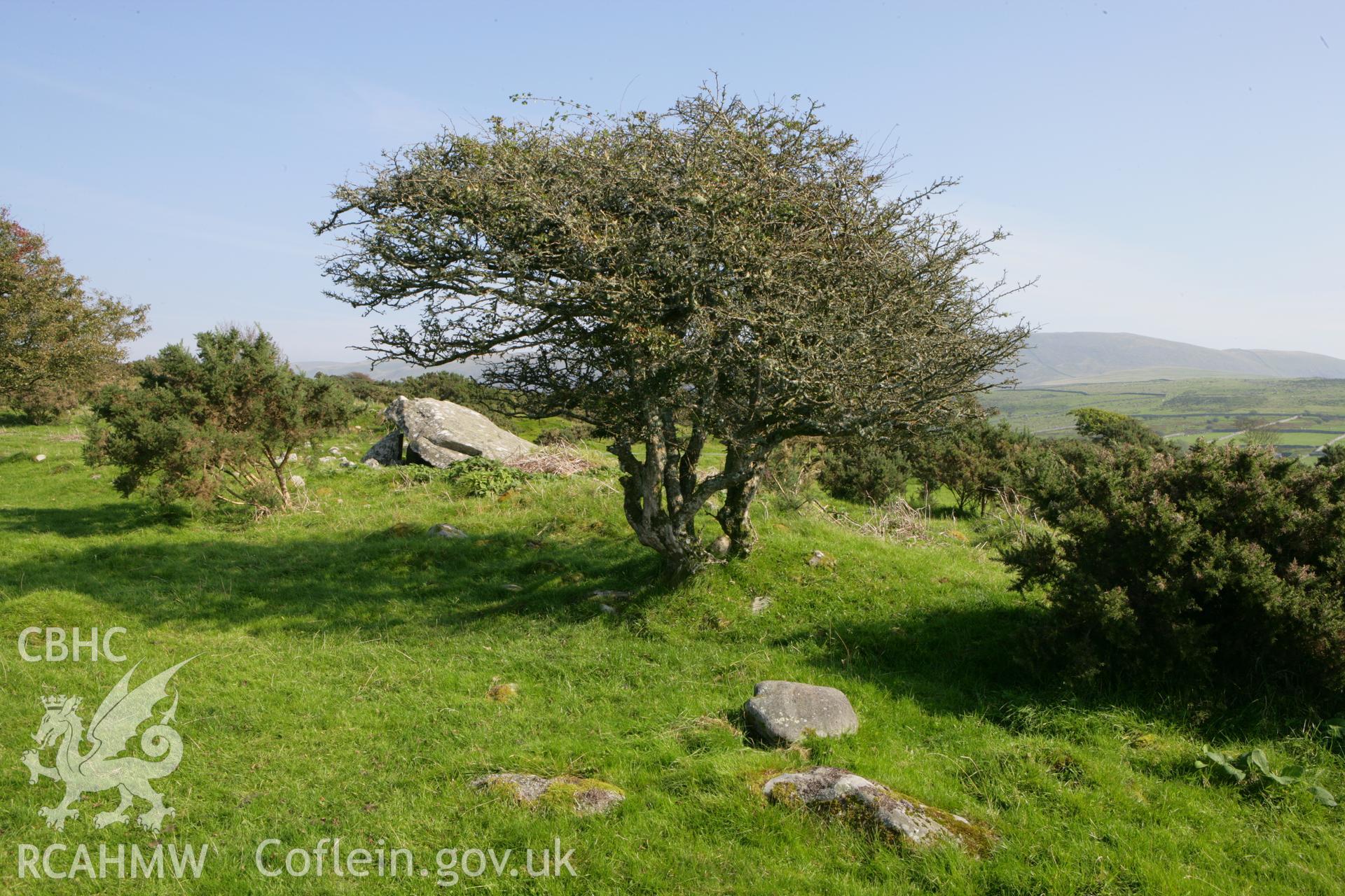 Cors y Gedol burial chamber, photo survey.