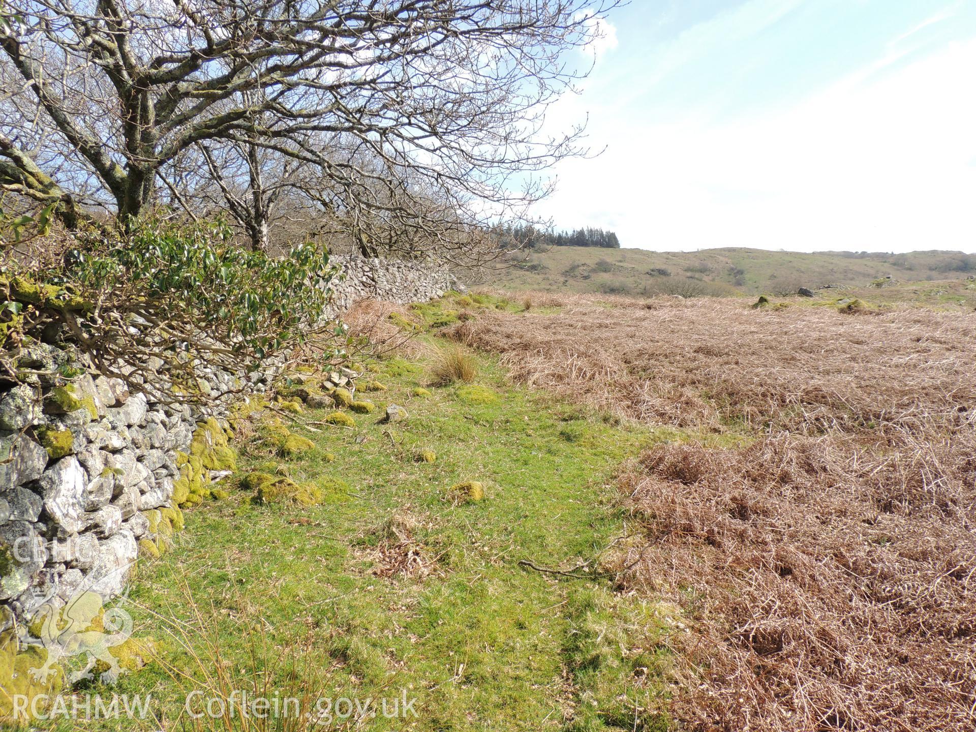 'View east from SH 62199 43941.' Photographed as part of desk based assessment and heritage impact assessment of a hydro scheme on the Afon Croesor, Brondanw Estate, Gwynedd. Produced by Archaeology Wales for Renewables First Ltd. 2018.