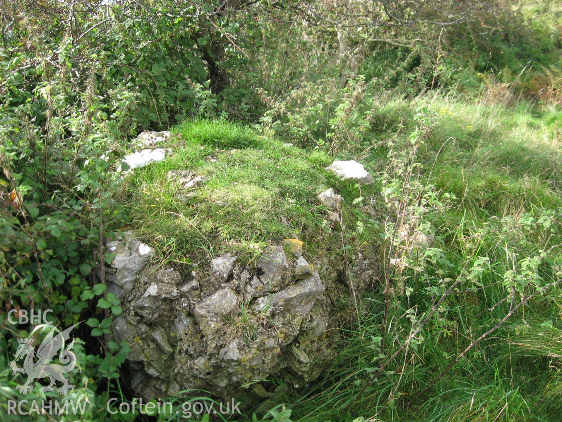 Colour photo of Dyserth Castle, produced by  Paul R. Davis,  3rd August 2010.