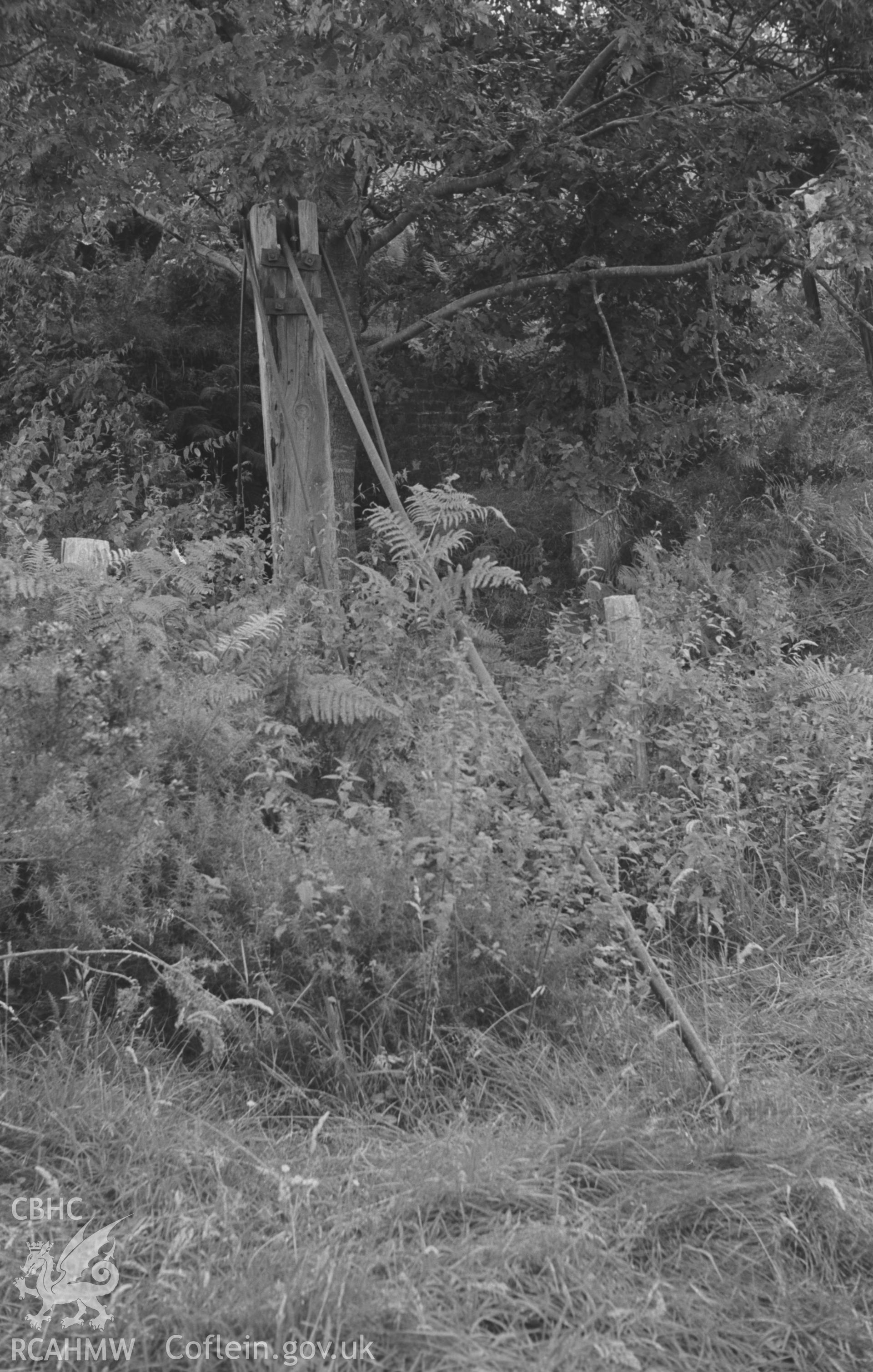 Digital copy of a black and white negative showing remains of mechanism at head of vertical shaft in field above Bronfloyd Lead Mine. Shaft is cylindrical and brick-lined Photographed by Arthur O. Chater in August 1966 from Grid Reference SN 660 834.