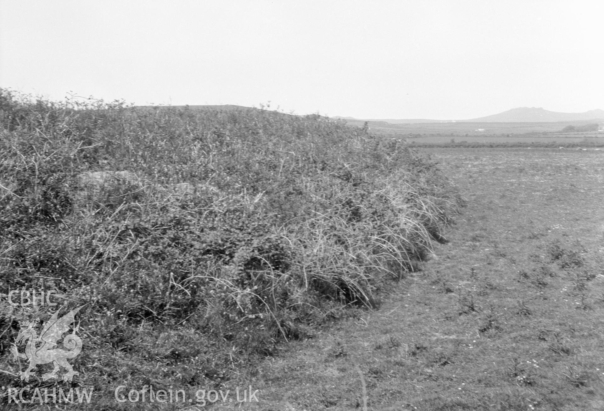 Digital copy of a nitrate negative showing Castell Hendre-wen.