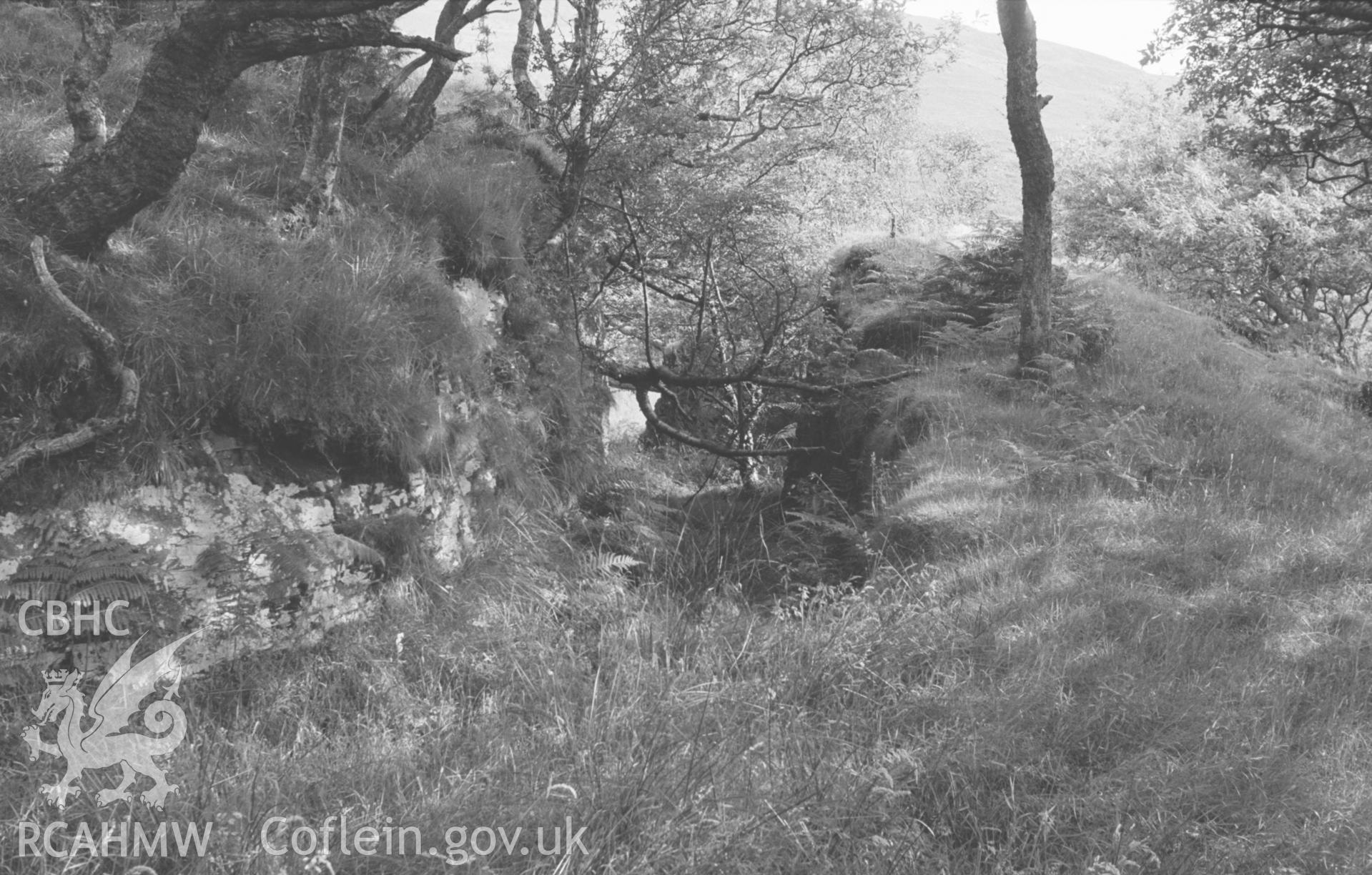 Digital copy of a black and white negative looking south through cutting in rock where mine tramway runs round ridge just north west of lowest reservoir at Bryndyfi Lead Mine. Photographed by Arthur O. Chater in August 1966 from Grid Reference SN 683 936.