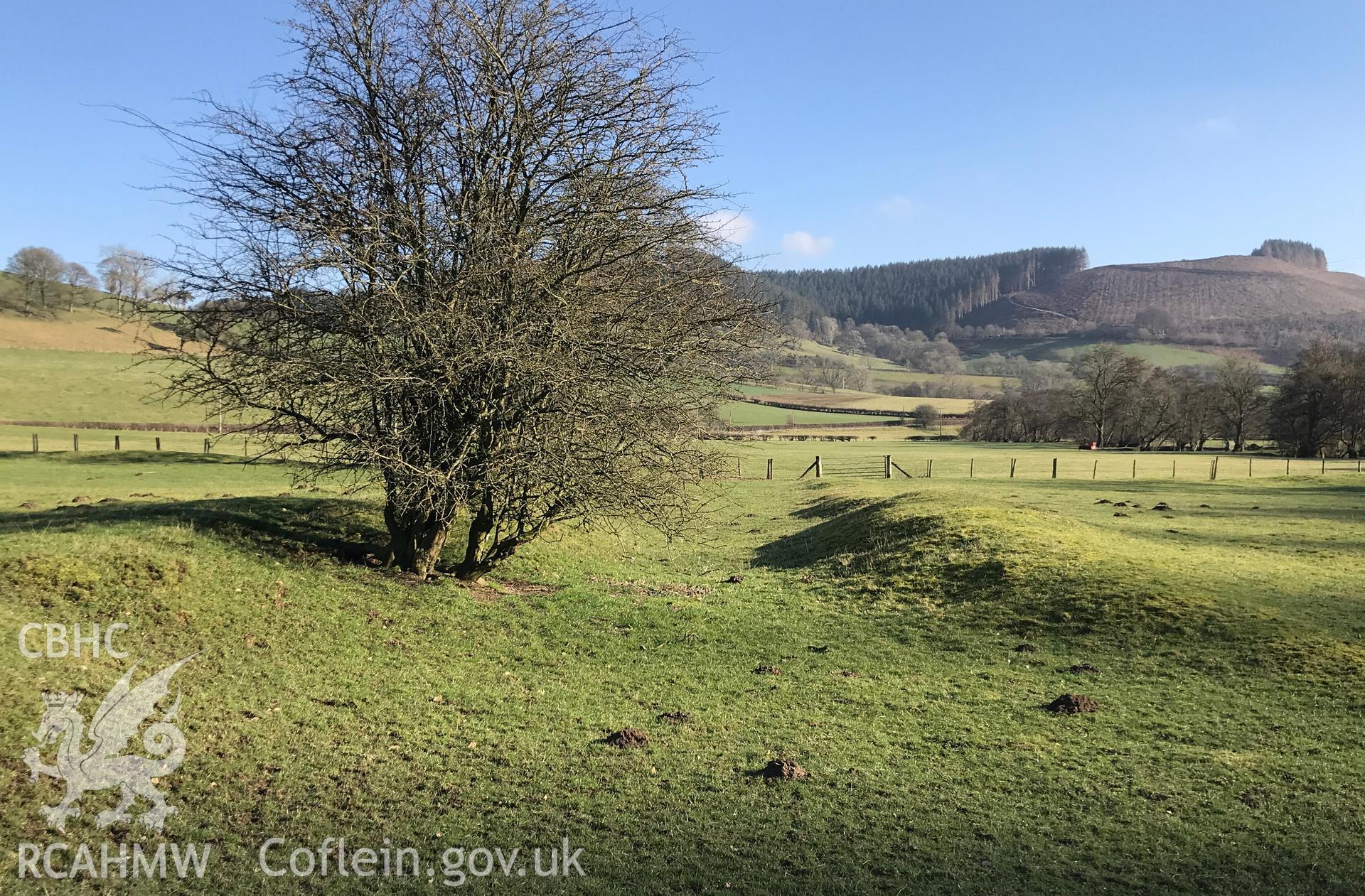 Digital colour photograph showing Mynachdy moat possible monastic grange, Llangunllo, taken by Paul Davis on 7th February 2020.