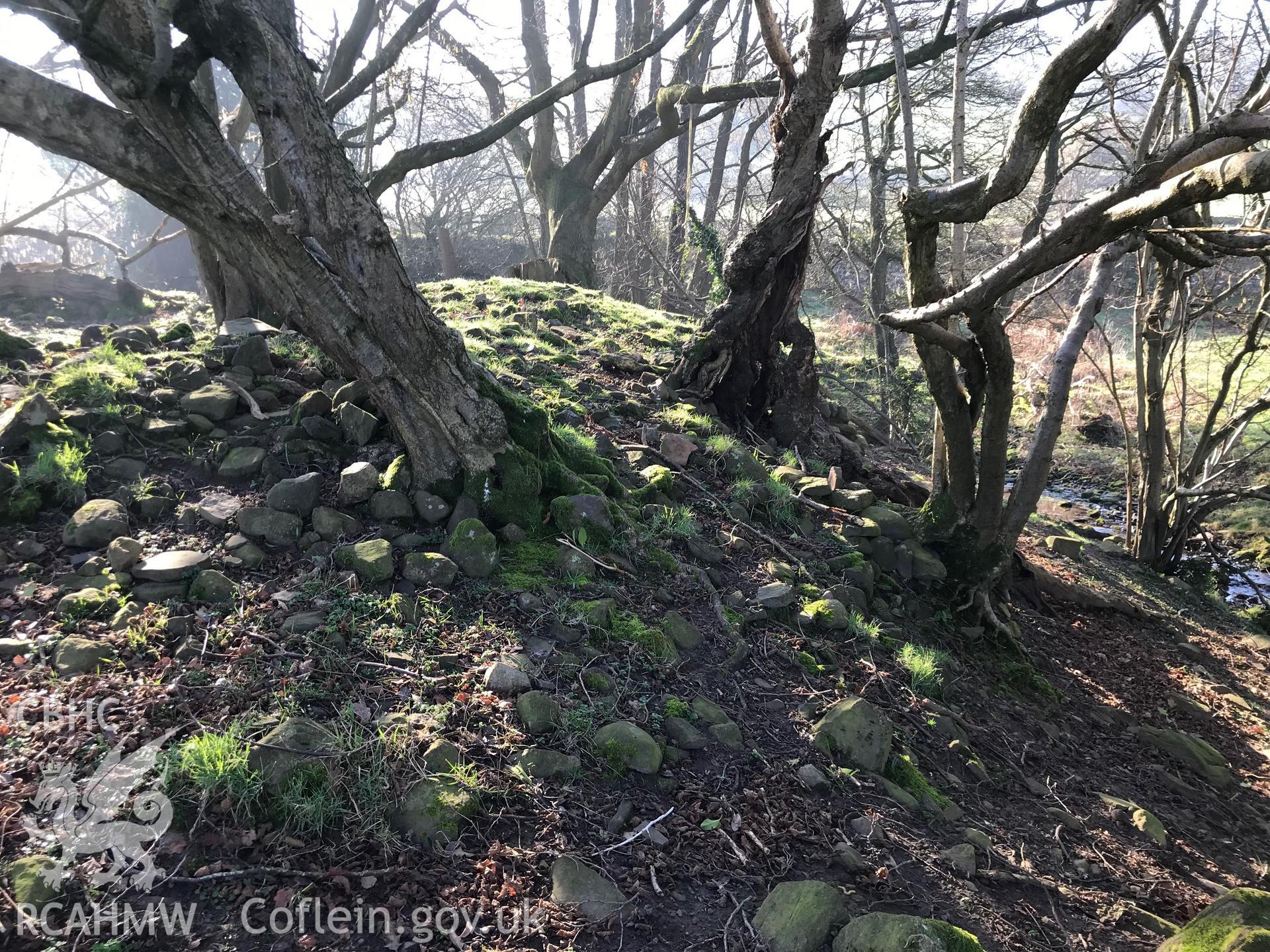 Colour photograph of Hen Castell and surrounding moat (extreme right of photograph), Llangattock, Abergavenny, taken by Paul R. Davis on 24th February 2019.