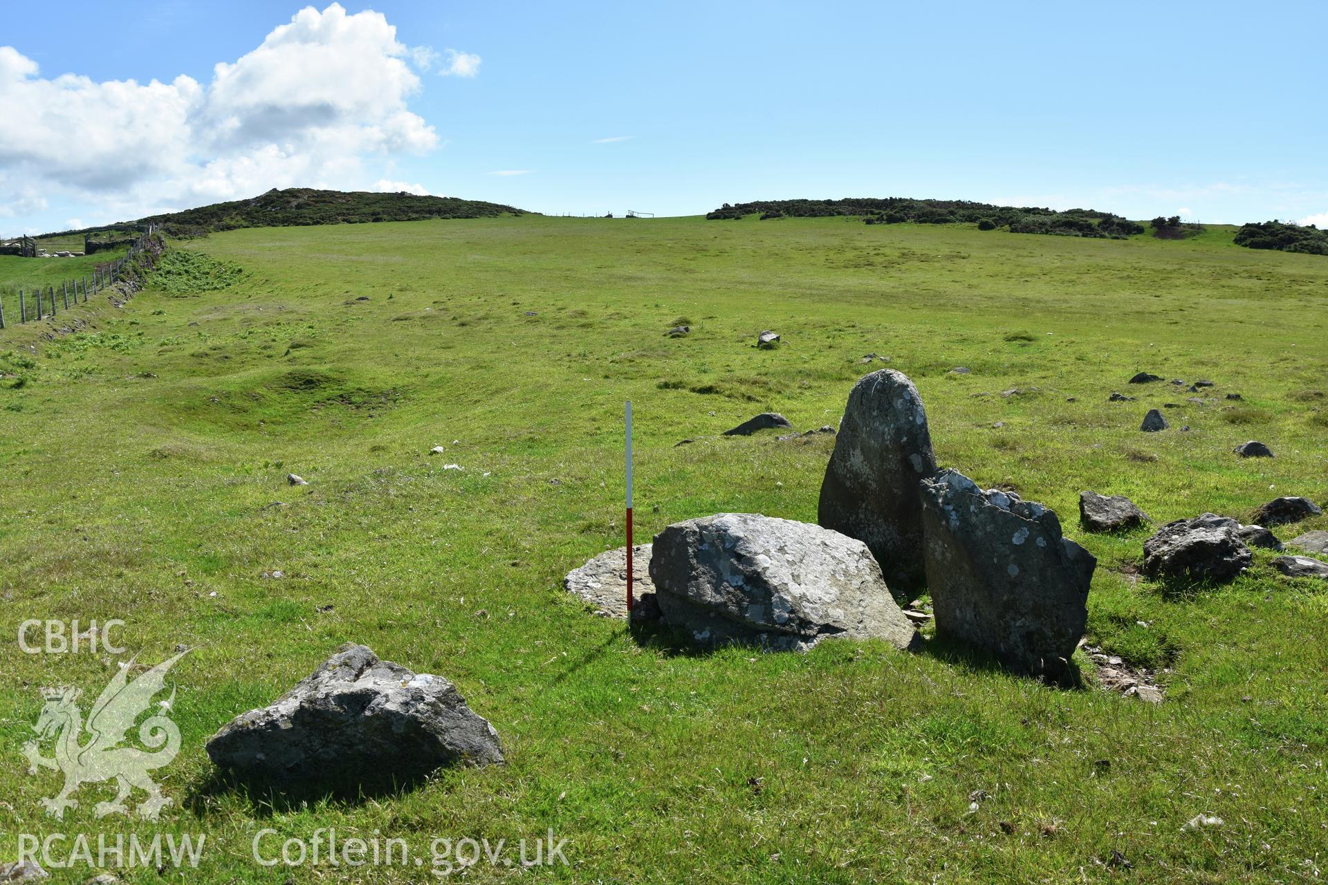 Lower Treginnis chambered tomb. View looking east across area of disturbed ground. 1m scale. Investigator?s photographic survey for the CHERISH Project. ? Crown: CHERISH PROJECT 2019. Produced with EU funds through the Ireland Wales Co-operation Programme 2014-2020. All material made freely available through the Open Government Licence.