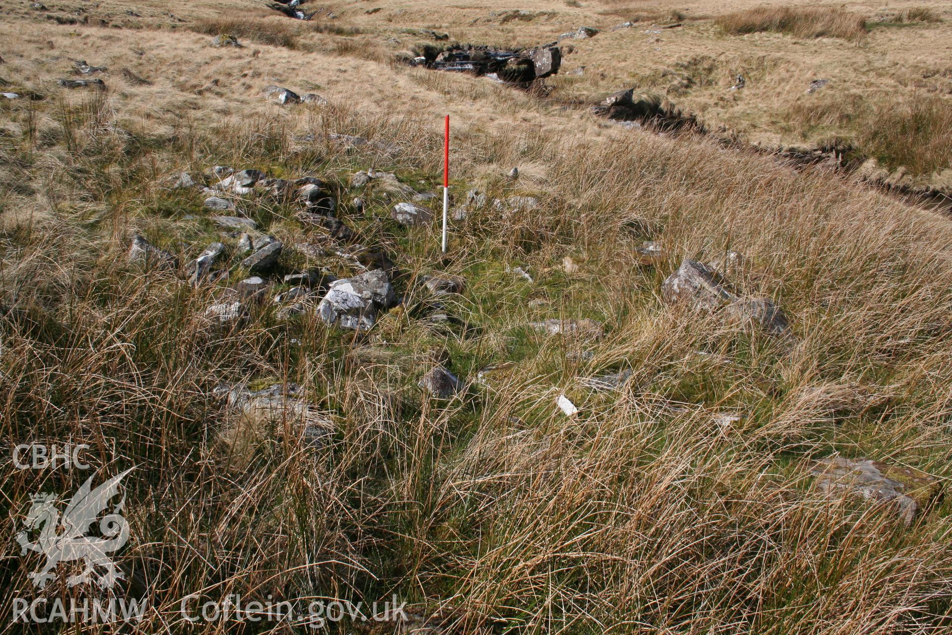 Fold viewed from the north-west; 1m scale.