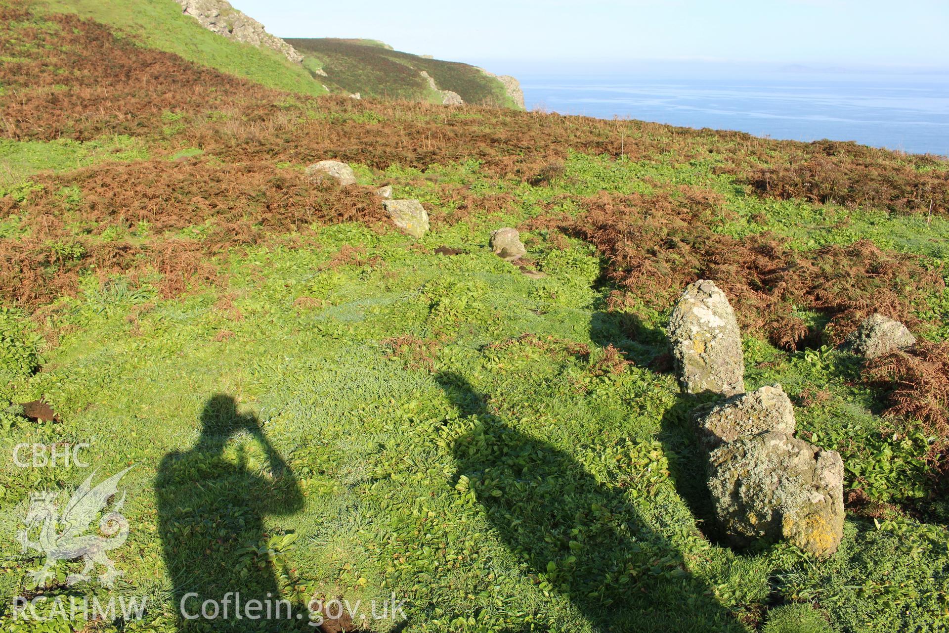 Investigator's photography of The Churchyard stone setting on Skomer Island, taken in September 2016.