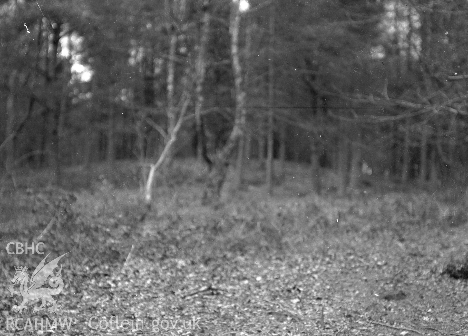 Digital copy of a nitrate negative showing Coed Shepherd Tumulus.