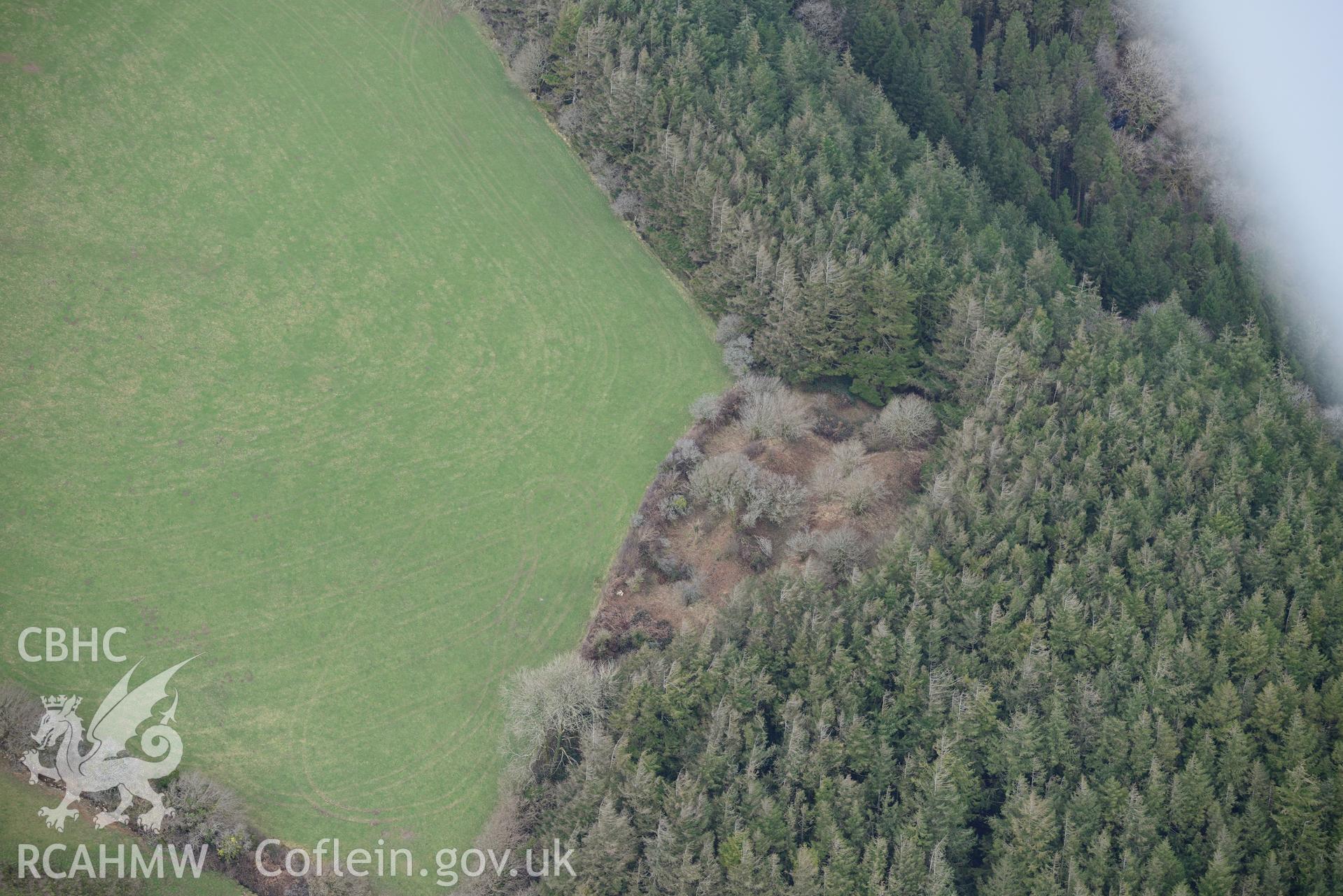 Castell Forlan defended enclosure, near Maenclochog, Crymych. Oblique aerial photograph taken during the Royal Commission's programme of archaeological aerial reconnaissance by Toby Driver on 13th March 2015.