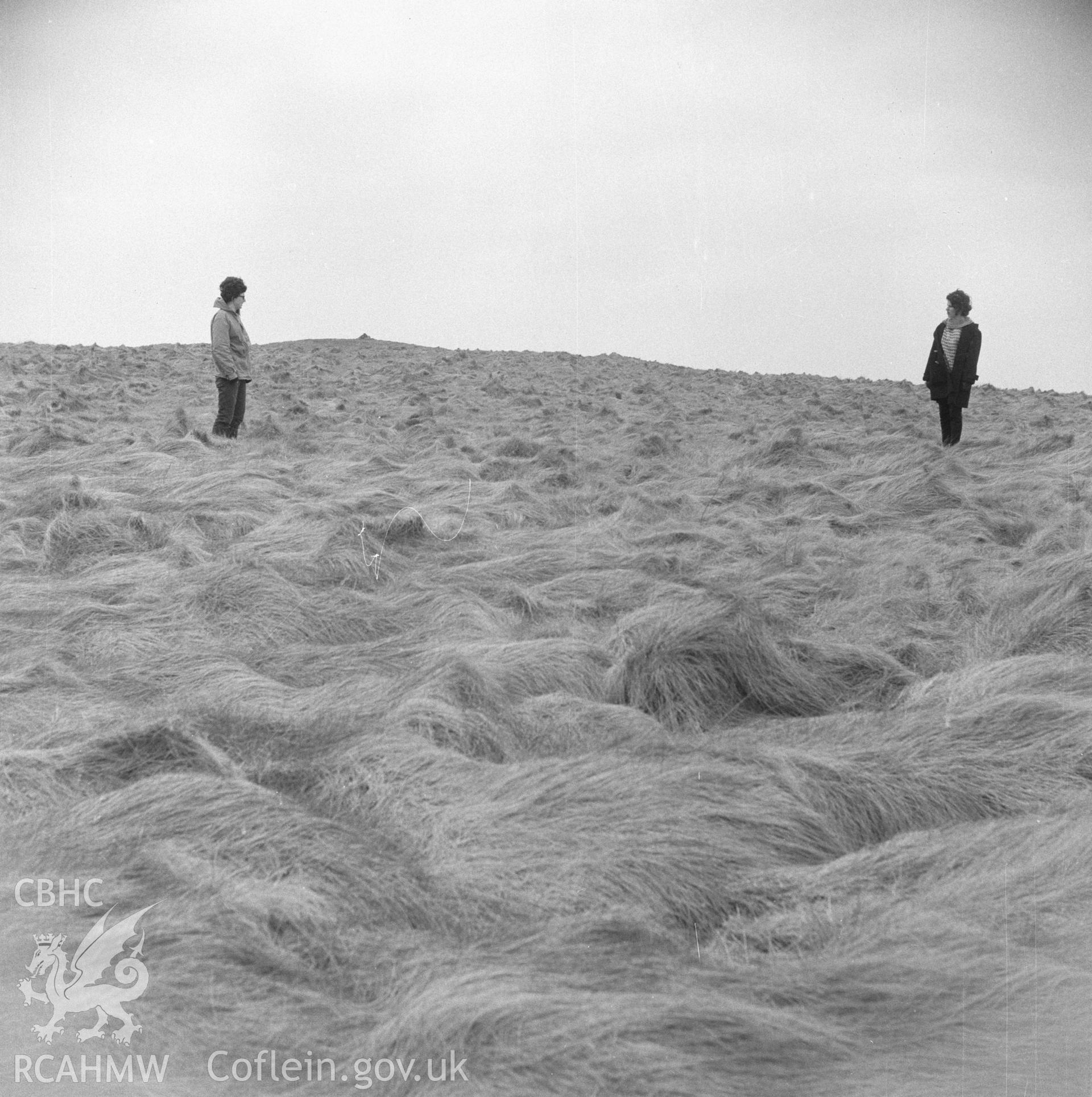 Digital copy of an acetate negative showing "Marloes, Gateholm Island", 15th April 1957.