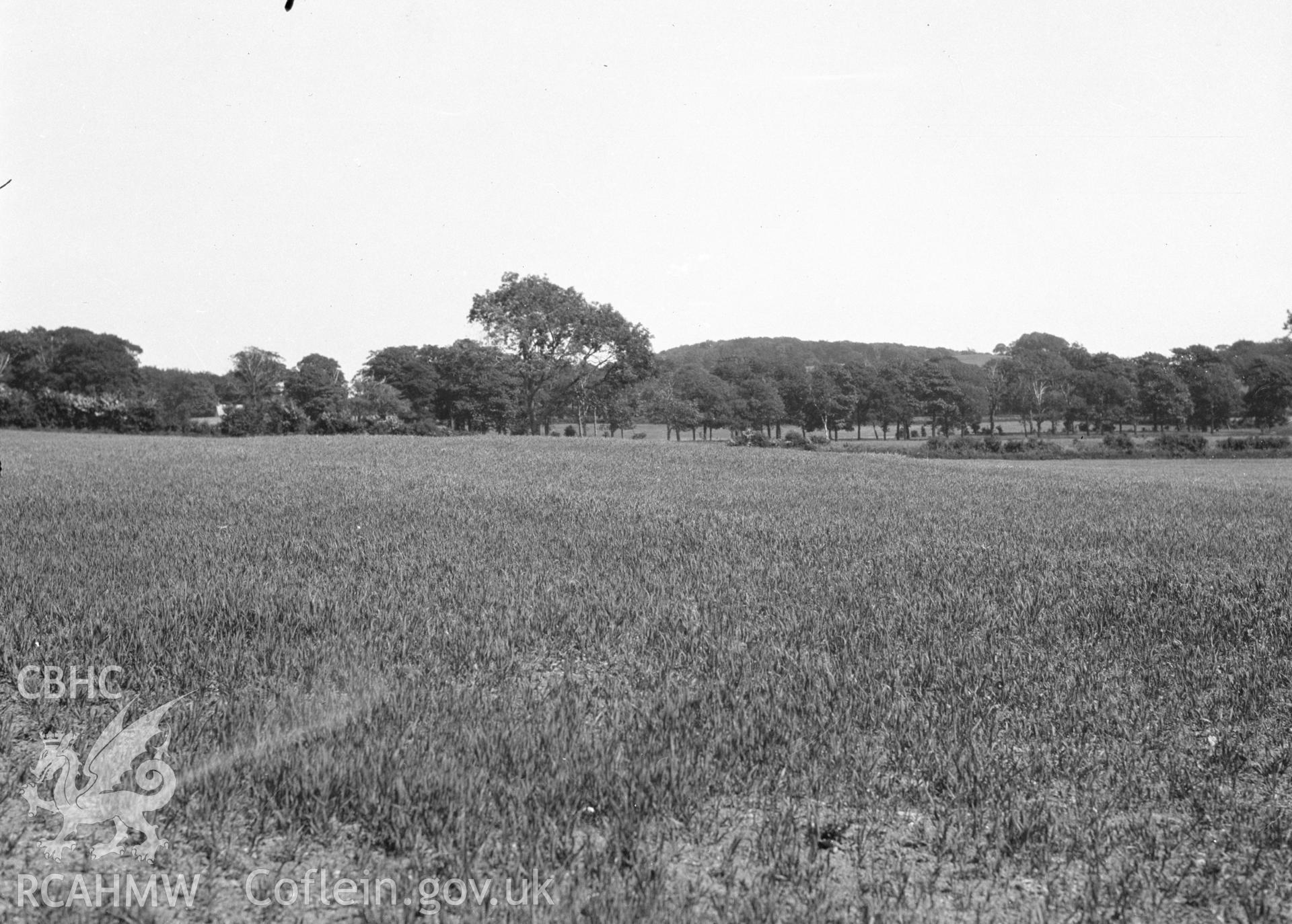 Digital copy of a nitrate negative showing Bryn Digrif Barrows. Transcript of the reverse of the printed photograph: 'Flint 268 D Whitford/ Bryn Digrif (6) Tumulus.' From the Cadw Monuments in Care Collection.