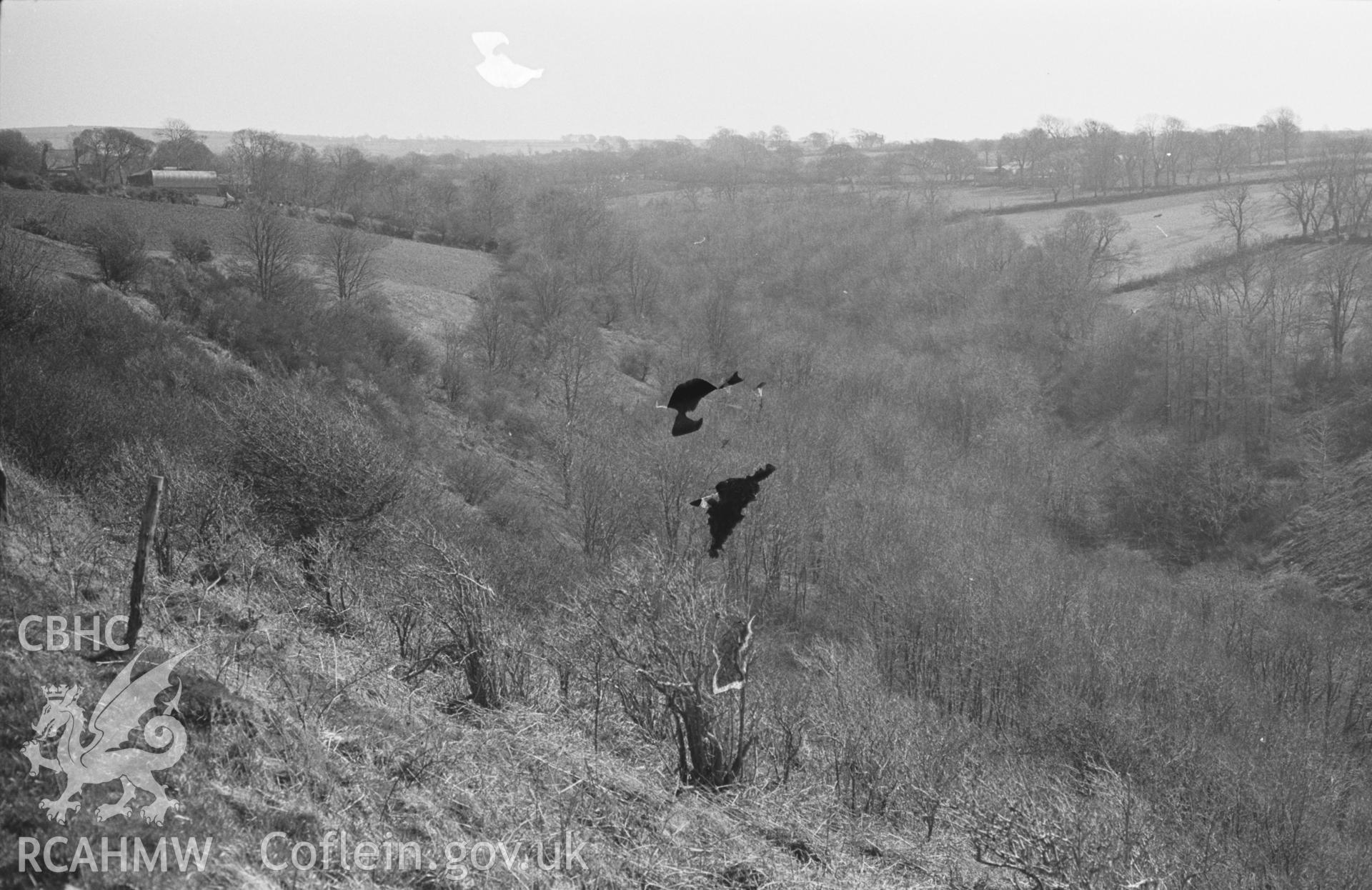 Digital copy of a black and white negative showing view looking up the Nant Fothau from near the Castell; Pen-y-Rhiw Farm on left. Photographed by Arthur O. Chater in April 1968. (Looking south east from Grid Reference SN 354 553).