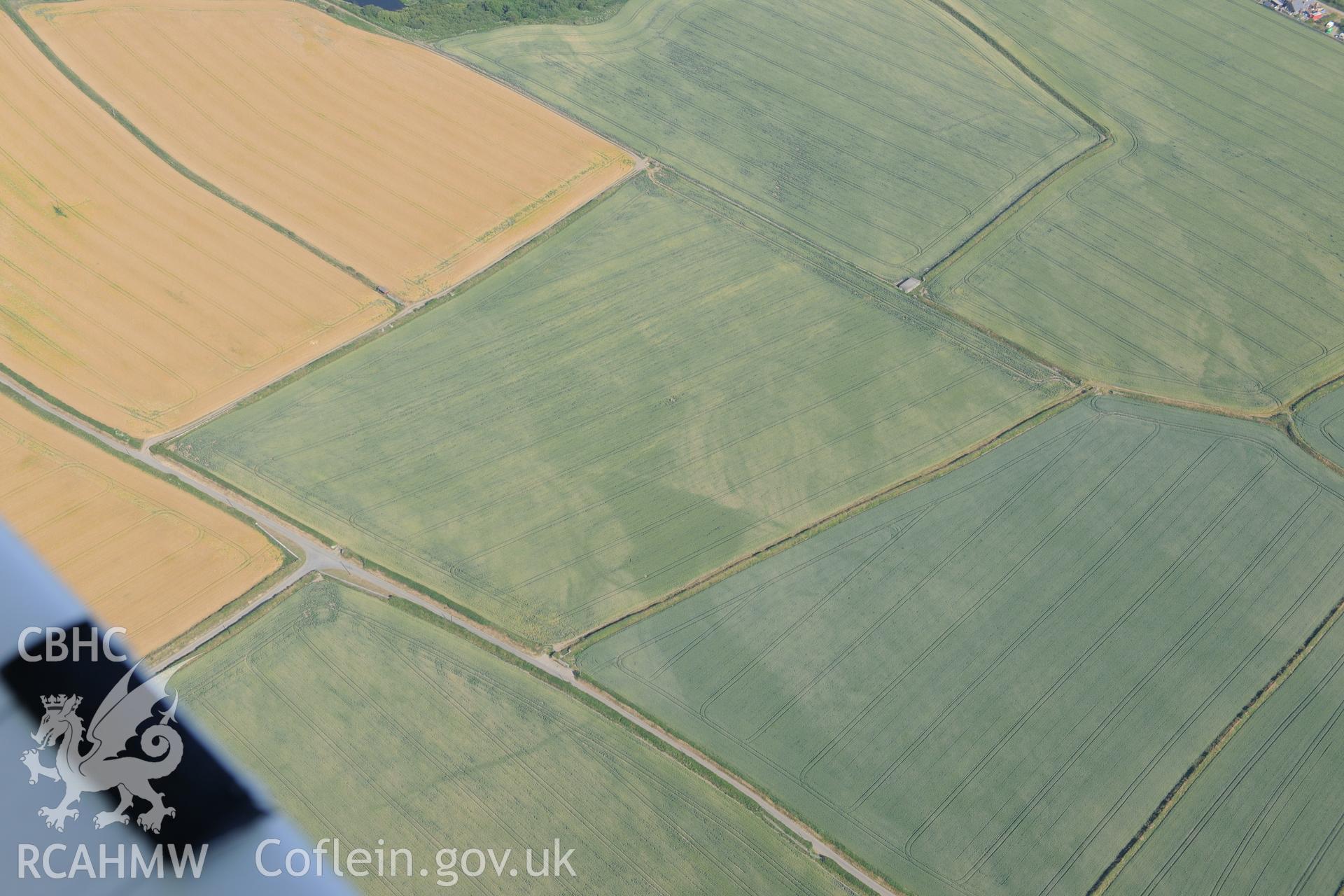 Cropmark of a longhouse ring ditch or circular enclosure, north east of Trefin, Pembrokeshire. Oblique aerial photograph taken during the Royal Commission?s programme of archaeological aerial reconnaissance by Toby Driver on 16th July 2013.