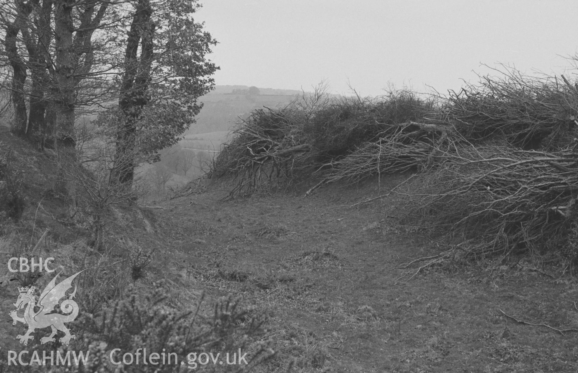 Digital copy of a black and white negative showing panoramic view looking north west over the 3-bank, 2-ditched Castell Pyr promontory fort earthworks. Glanrhydypysgod farm opposite. Photograph by Arthur O. Chater, April 1967. SN 470400. Photograph 1 of 4.