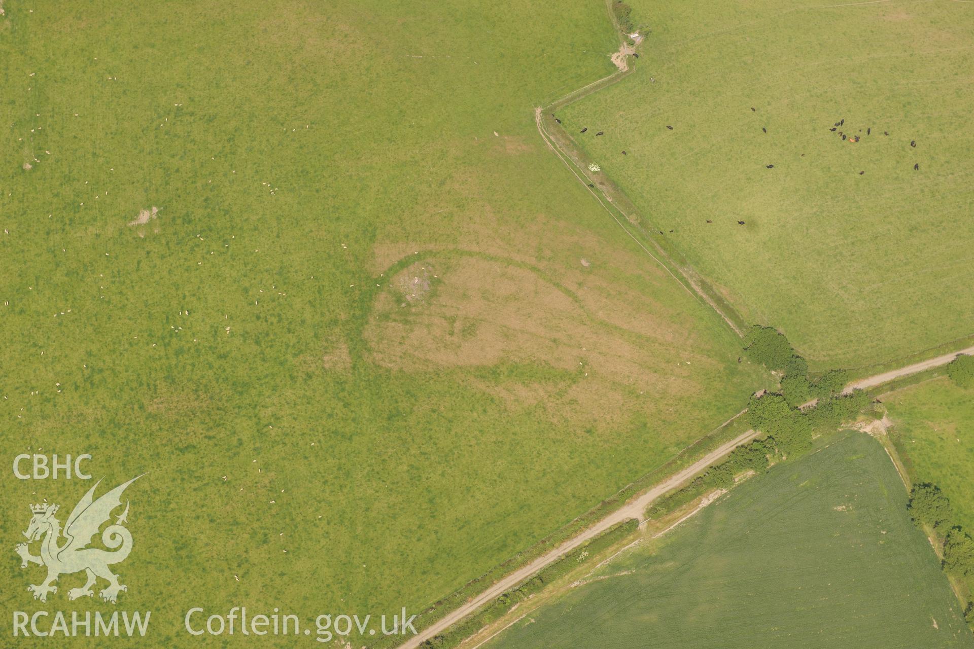Enclosures at Pant-Teg, on the southern outskirts of Aberaeron. Oblique aerial photograph taken during the Royal Commission?s programme of archaeological aerial reconnaissance by Toby Driver on 12th July 2013.
