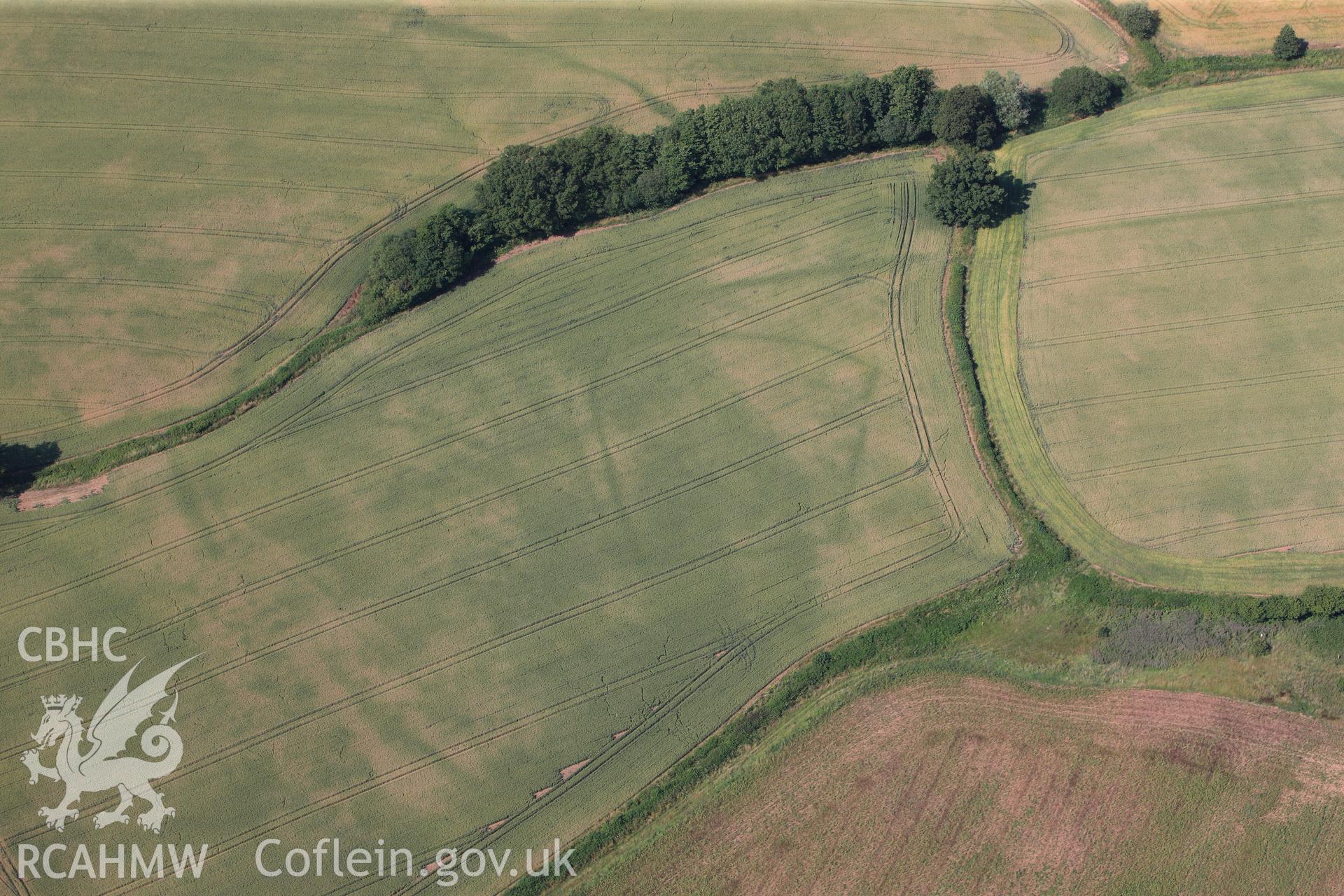 Cropmark showing the Malthouse Road defended enclosure, near Caerleon, north of Newport. Oblique aerial photograph taken during the Royal Commission?s programme of archaeological aerial reconnaissance by Toby Driver on 1st August 2013.