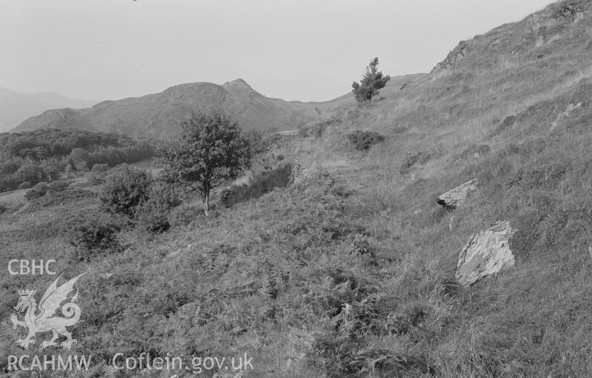 Digital copy of black & white negative showing the track of Bryndyfi mine tramway just north of its bridge over the track to Neuaddlwyd with Foel Fawr on skyline. Photographed by Arthur O. Chater in August 1966 looking north north east from SN 686 938.