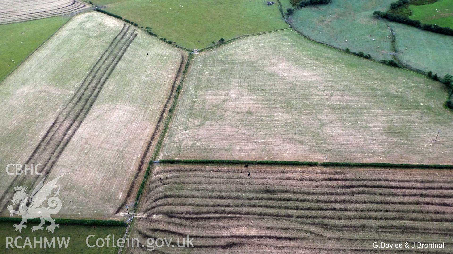 Aerial photograph of cropmarks south east of Ynysmaengwyn caravan park, taken by Glyn Davies & Jonathan Brentnall 16/07/2018 under drought conditions. Photograph has been modified to enhance visibility of the archaeology. Original photograph: BDC_04_02_07.