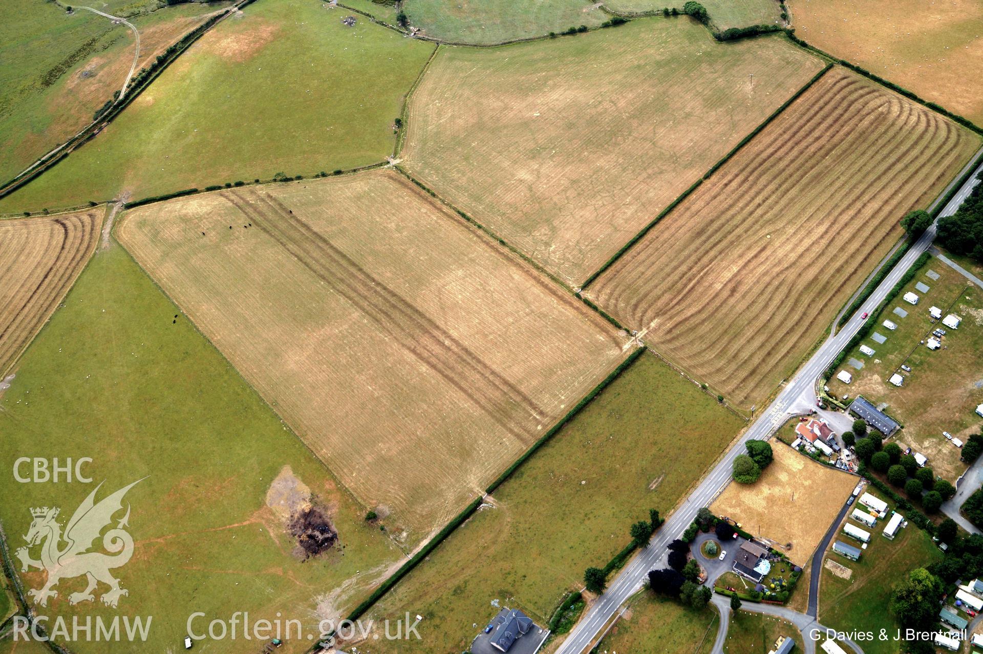 Aerial photograph of cropmarks south east of Ynysmaengwyn caravan park, taken by Glyn Davies & Jonathan Brentnall 16/07/2018 under drought conditions. Photograph has been modified to enhance visibility of the archaeology. Original photograph: BDC_04_02_05.