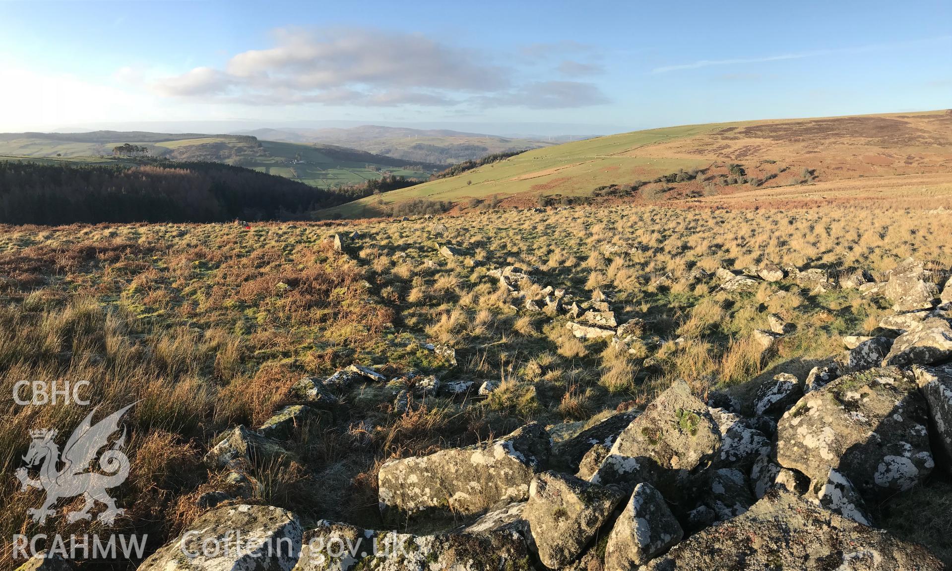 Detailed view of the overgrown walls belonging to Ffridd Camen long hut, Llandrillo. Colour photograph taken by Paul R. Davis on 2nd January 2019.