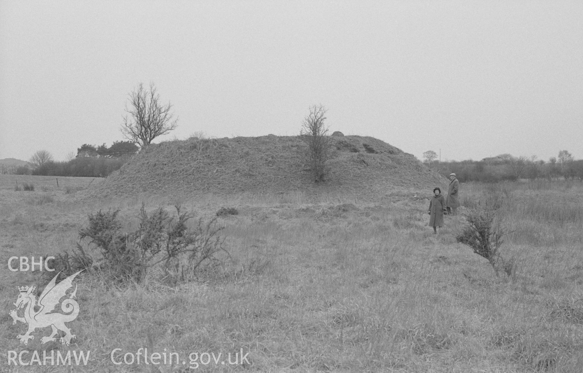 Digital copy of a black and white negative showing motte 250m south south west of Cwm-Meurig-Isaf. Photographed in April 1964 by Arthur O. Chater from Grid Reference SN 7184 6776, looking north east.