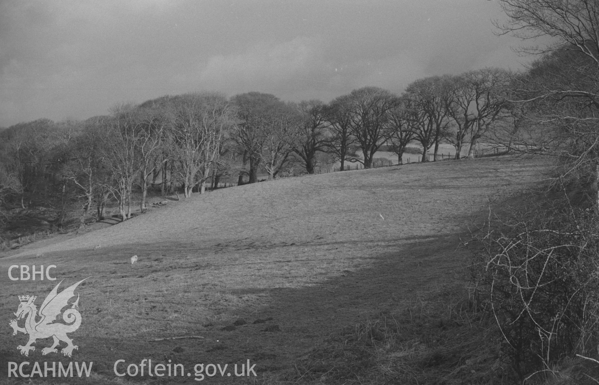 Digital copy of a black and white negative showing panorama of Nanteos estate from the New Cross Road. Photographed by Arthur O. Chater in January 1968. (Looking north from Grid Reference SN 620 779) [Photo 5 of 5].